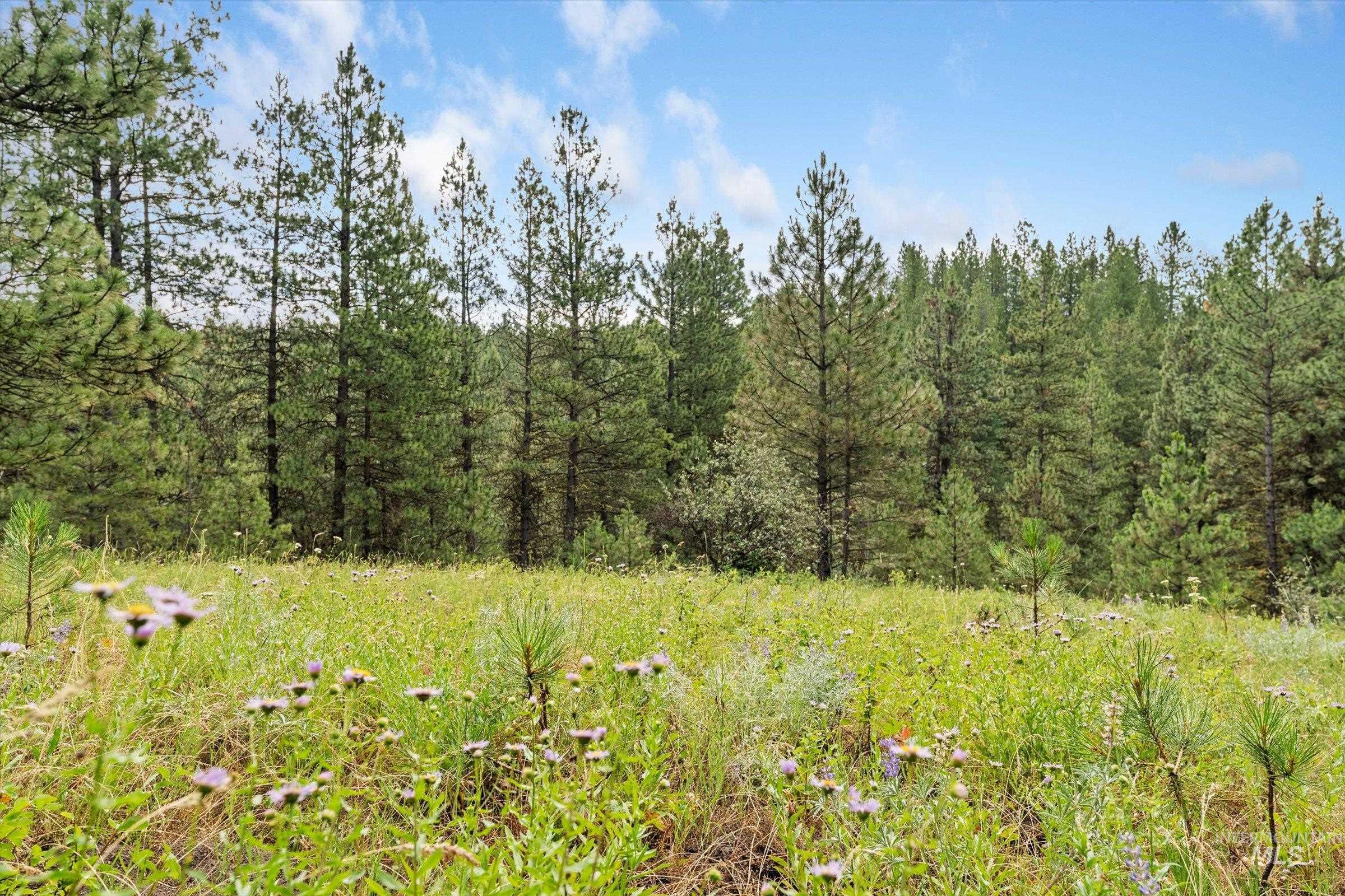 TBD Sunset Trail, Banks, Idaho 83602, Land For Sale, Price $226,500,MLS 98992788
