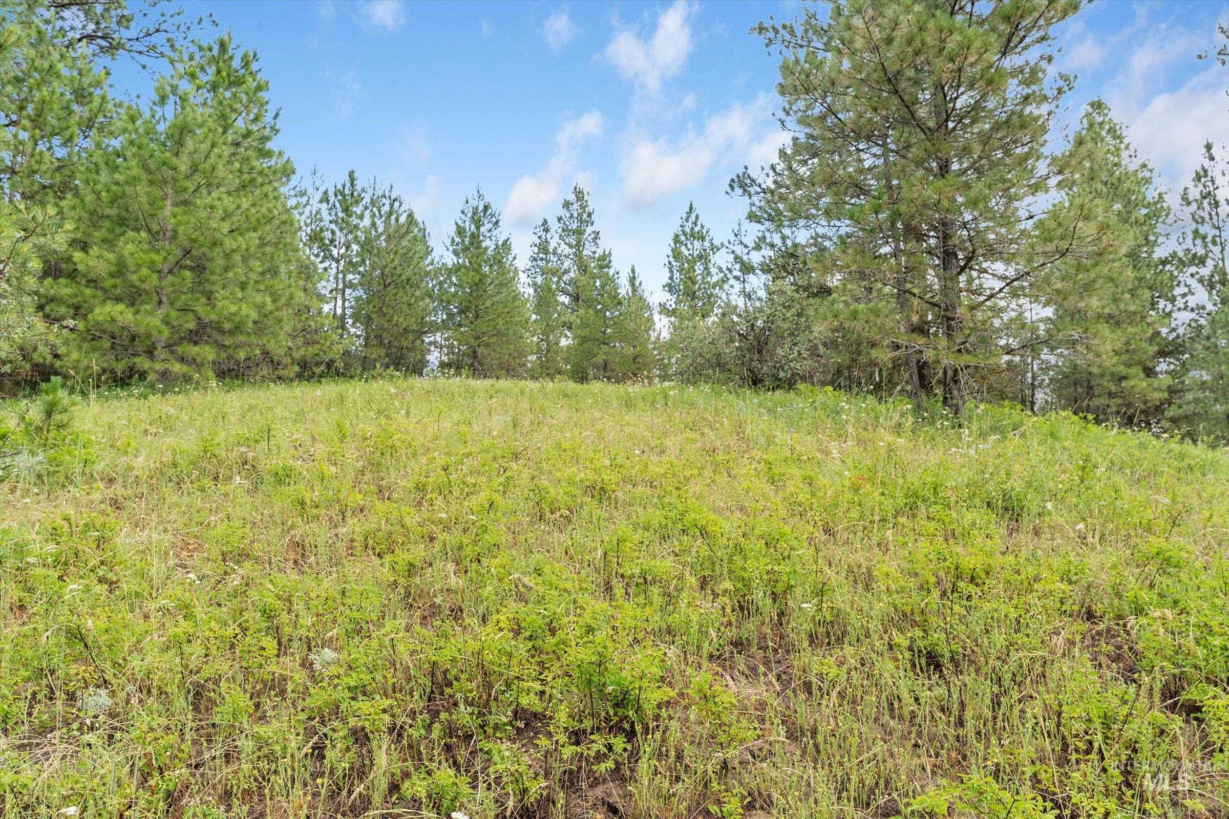 TBD Sunset Trail, Banks, Idaho 83602, Land For Sale, Price $226,500,MLS 98992788