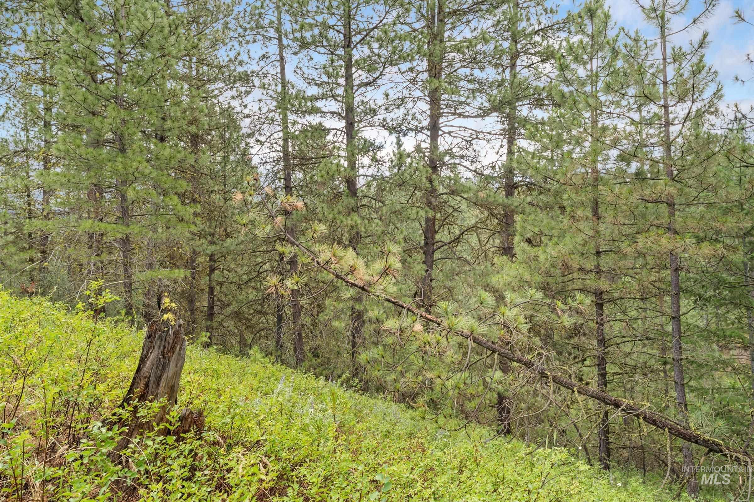 TBD Sunset Trail, Banks, Idaho 83602, Land For Sale, Price $226,500,MLS 98992788