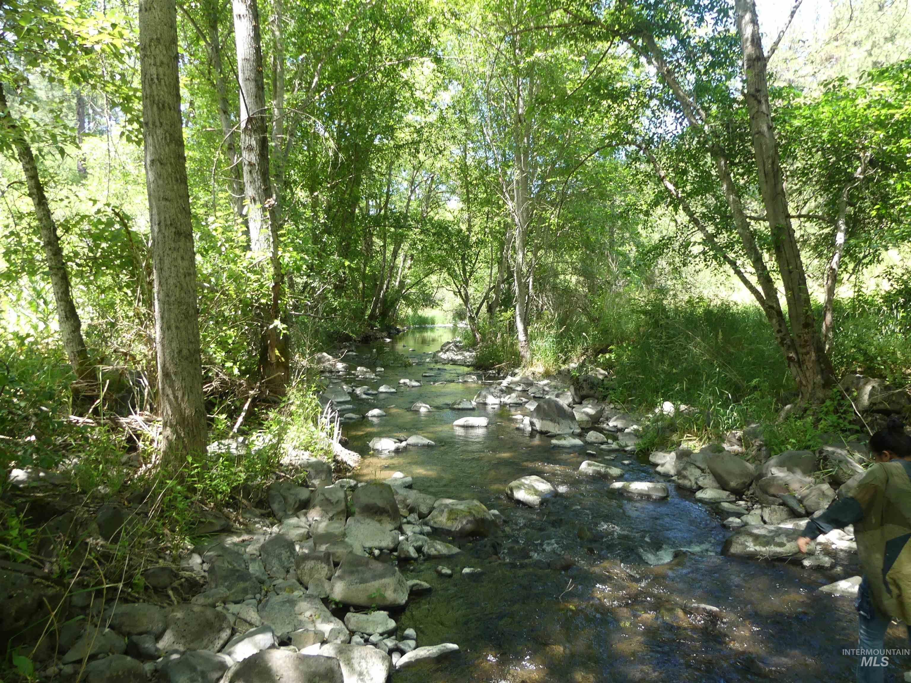 46601 Little Canyon Rd, Orofino, Idaho 83544, Land For Sale, Price $750,000, 98992812