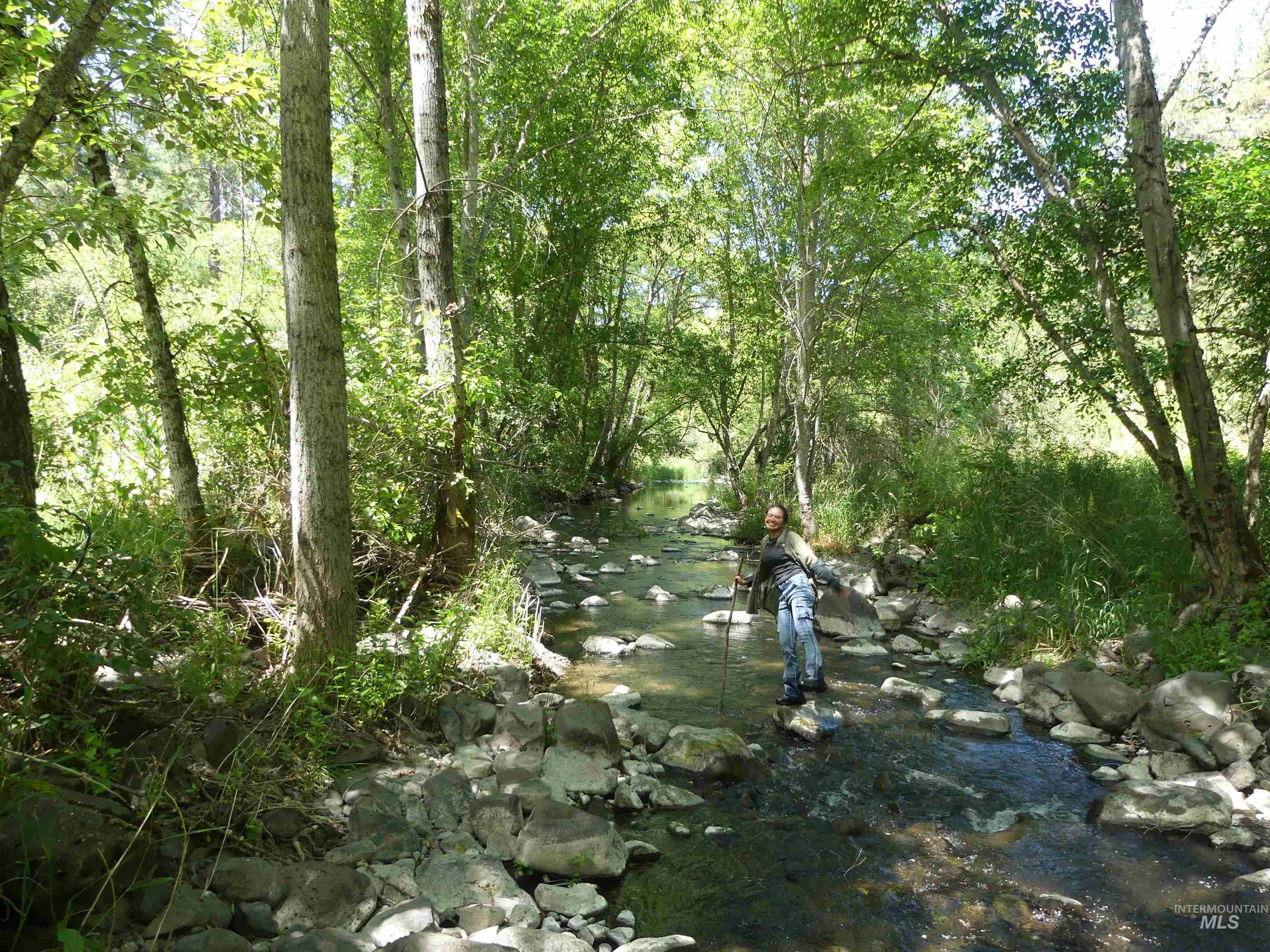46601 Little Canyon Rd, Orofino, Idaho 83544, Land For Sale, Price $750,000, 98992812