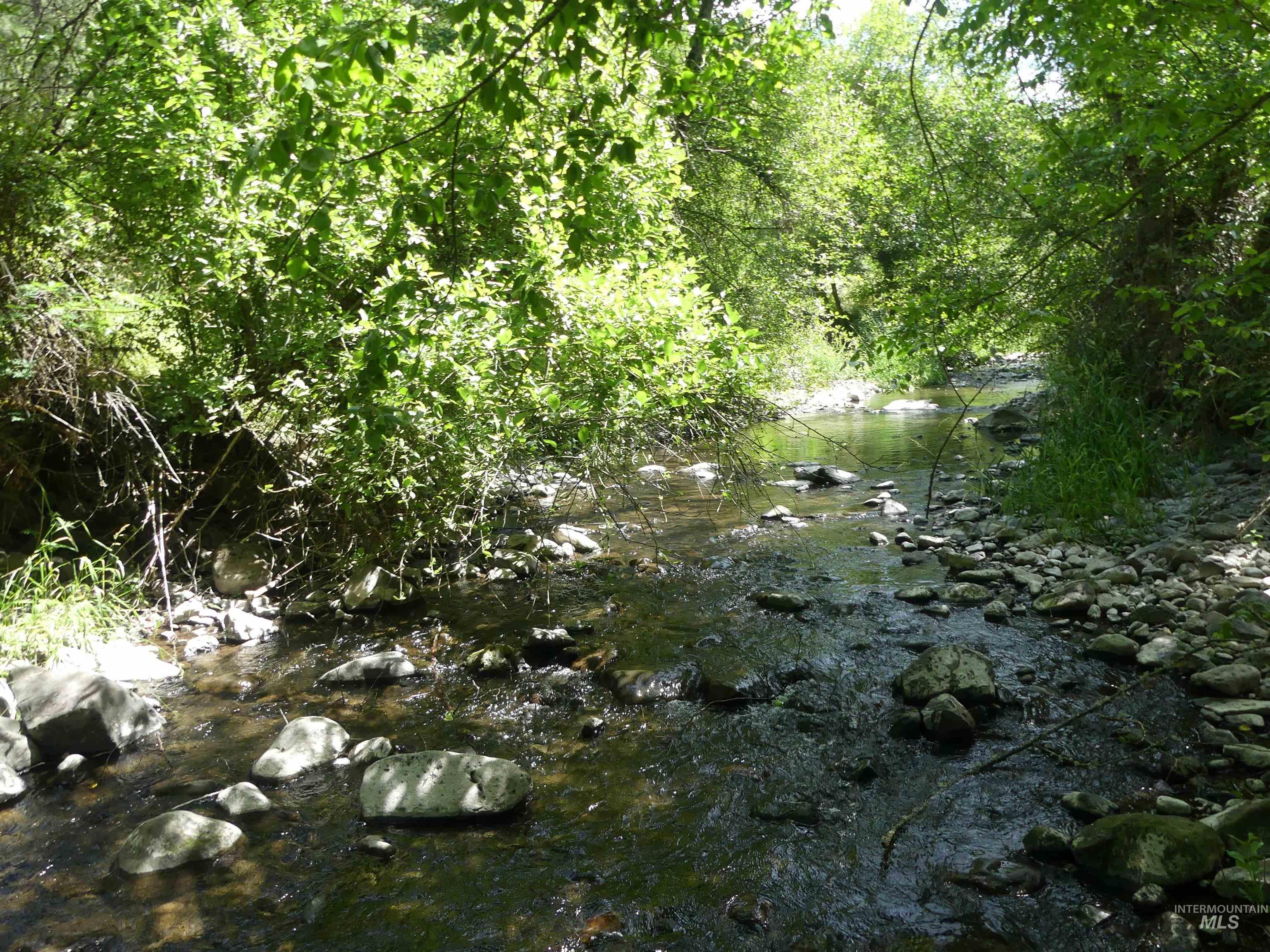 46601 Little Canyon Rd, Orofino, Idaho 83544, Land For Sale, Price $750,000, 98992812