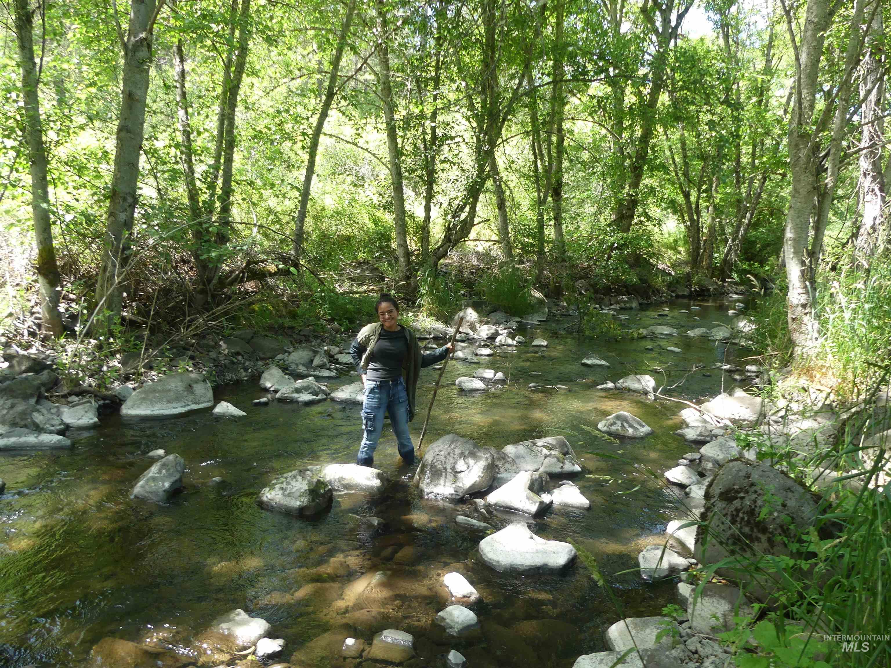 46601 Little Canyon Rd, Orofino, Idaho 83544, Land For Sale, Price $750,000, 98992812