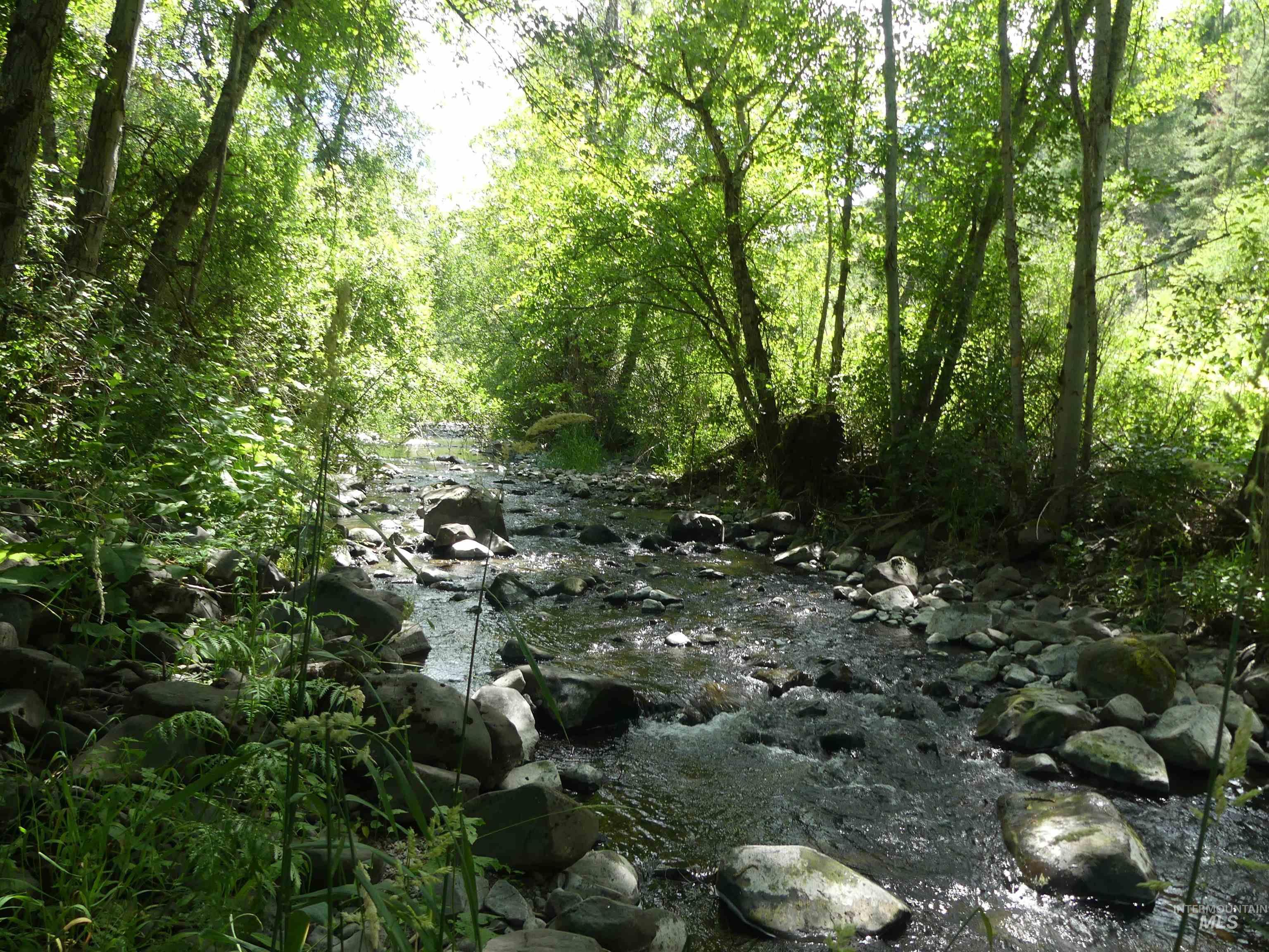 46601 Little Canyon Rd, Orofino, Idaho 83544, Land For Sale, Price $750,000, 98992812