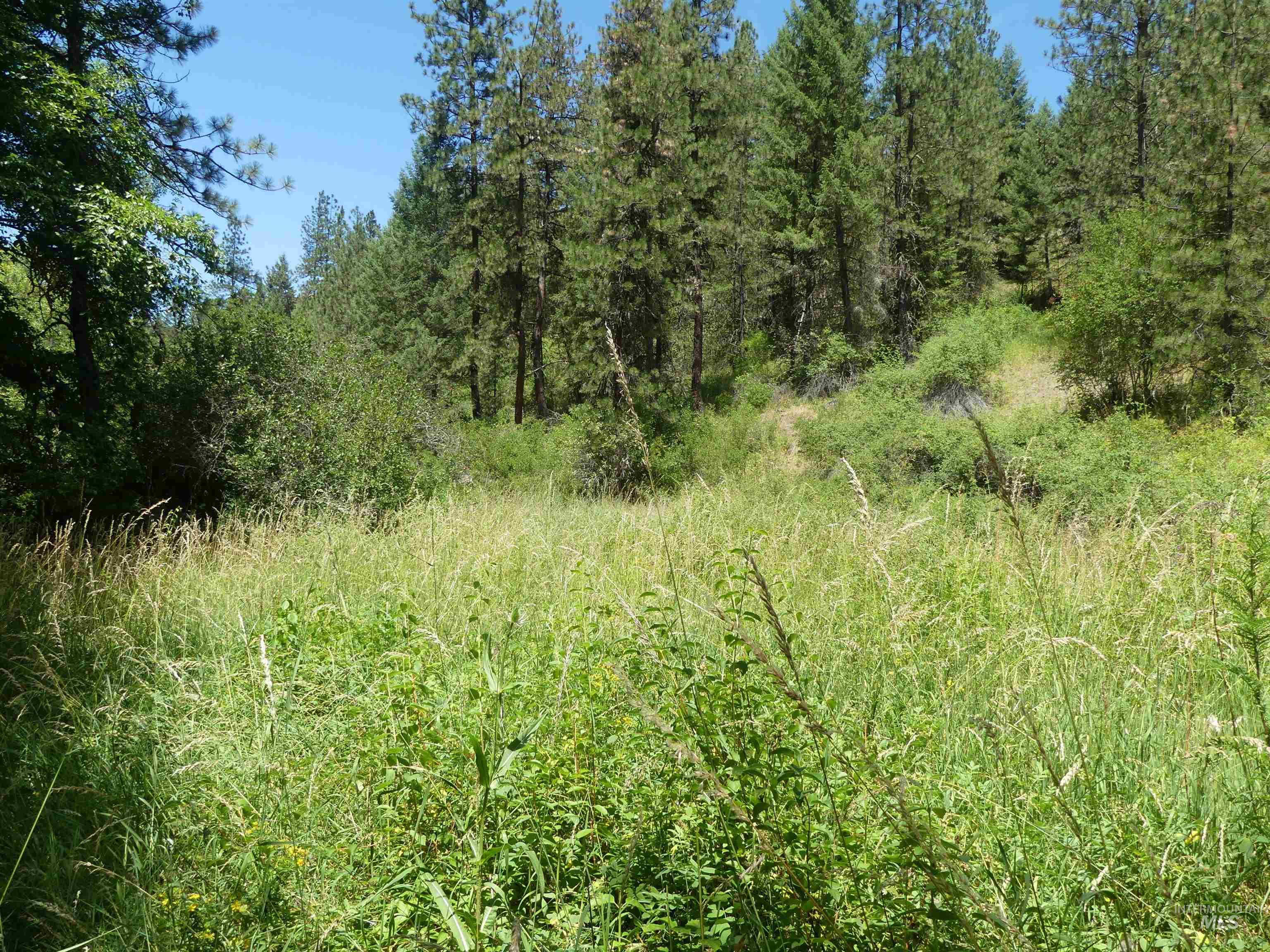 46601 Little Canyon Rd, Orofino, Idaho 83544, Land For Sale, Price $750,000, 98992812