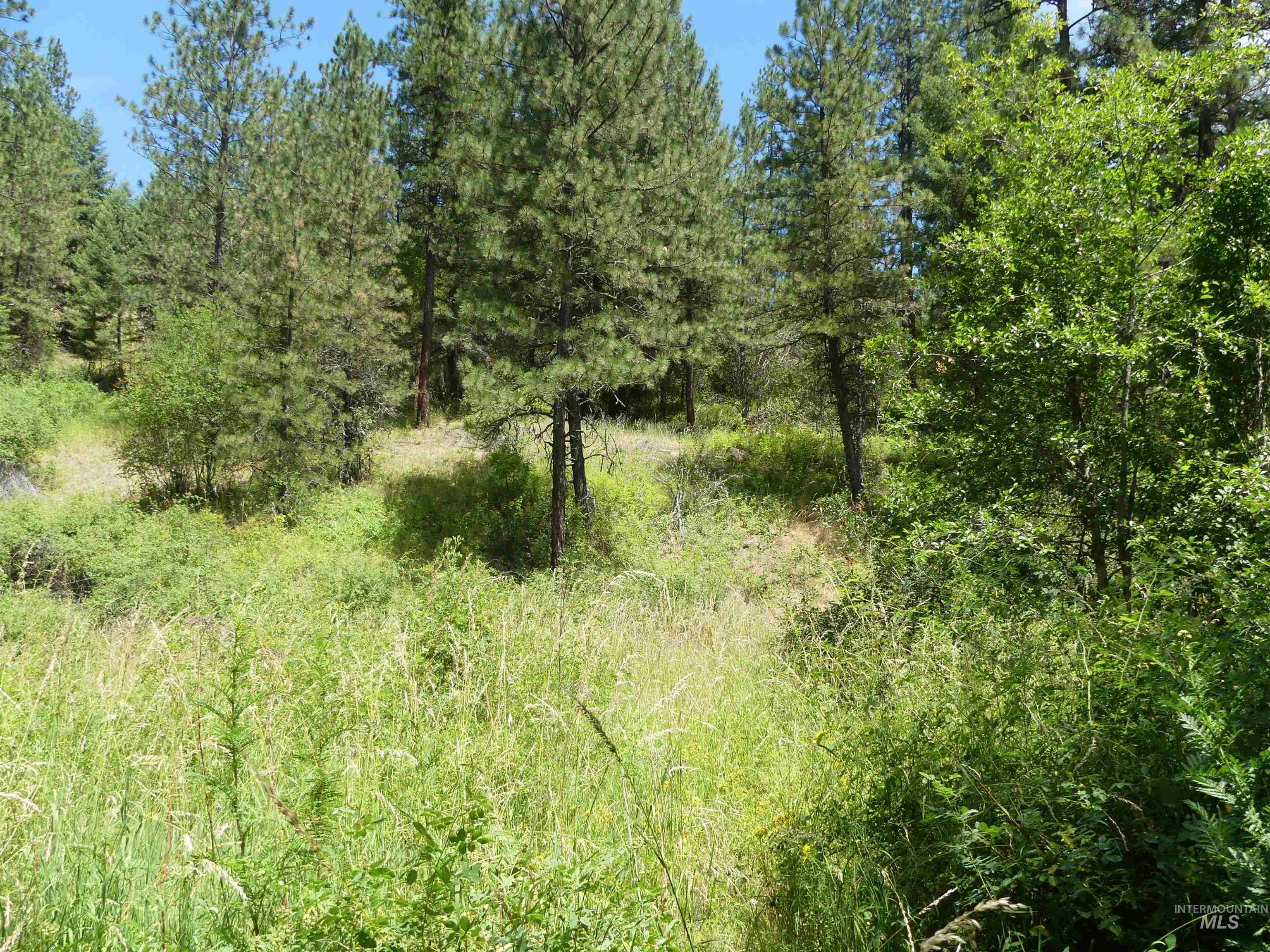 46601 Little Canyon Rd, Orofino, Idaho 83544, Land For Sale, Price $750,000, 98992812