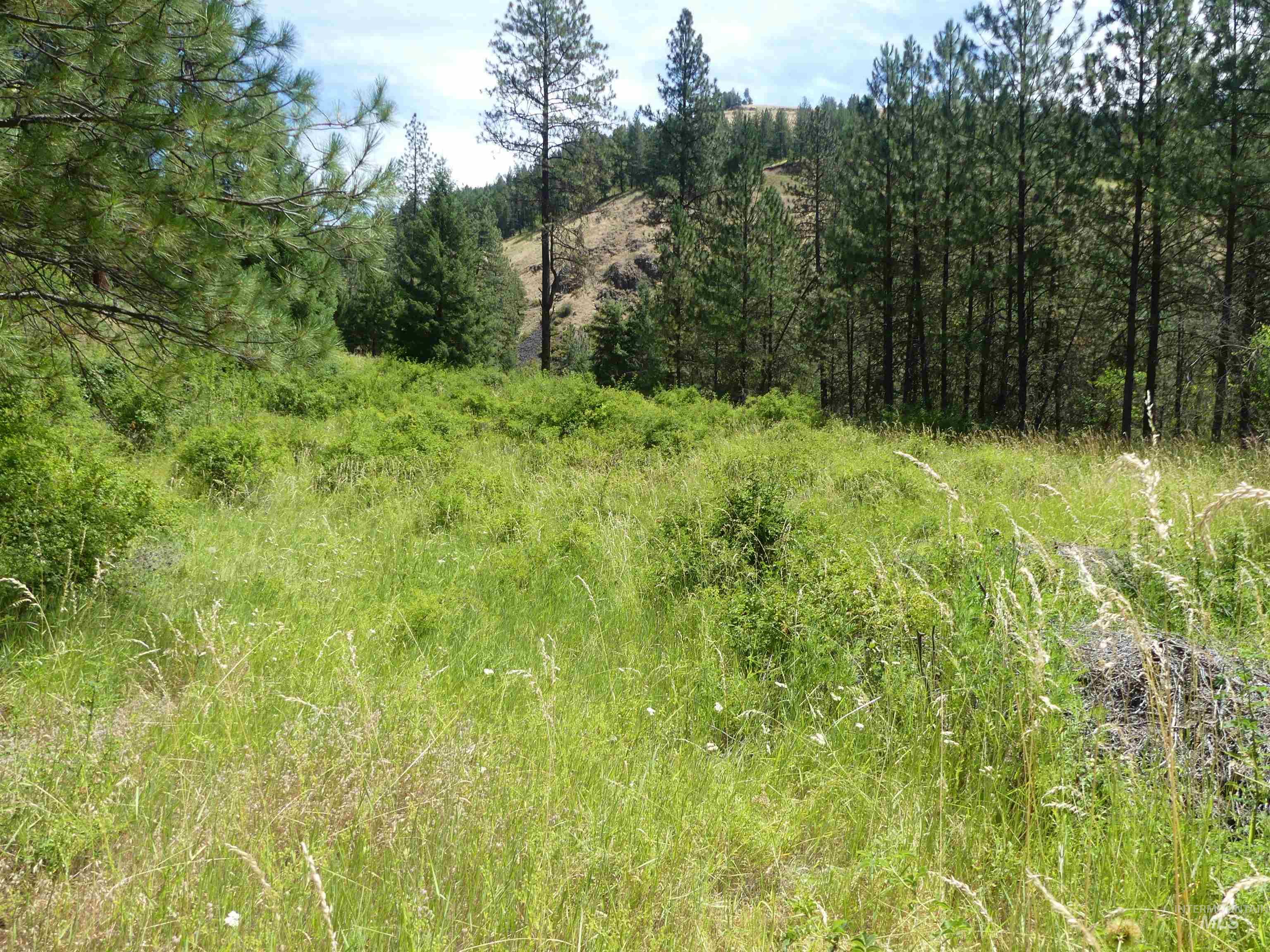 46601 Little Canyon Rd, Orofino, Idaho 83544, Land For Sale, Price $750,000, 98992812