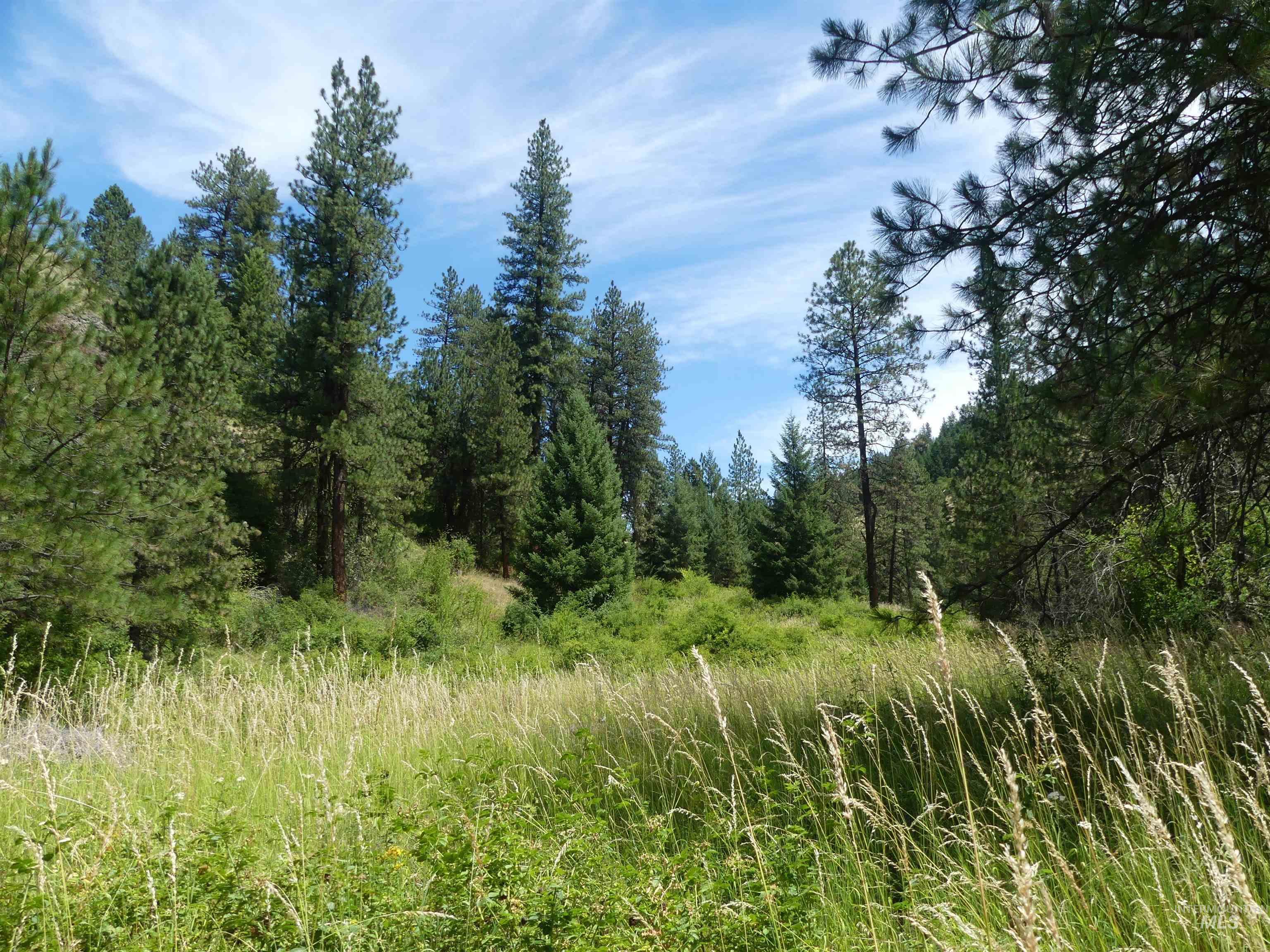 46601 Little Canyon Rd, Orofino, Idaho 83544, Land For Sale, Price $750,000, 98992812