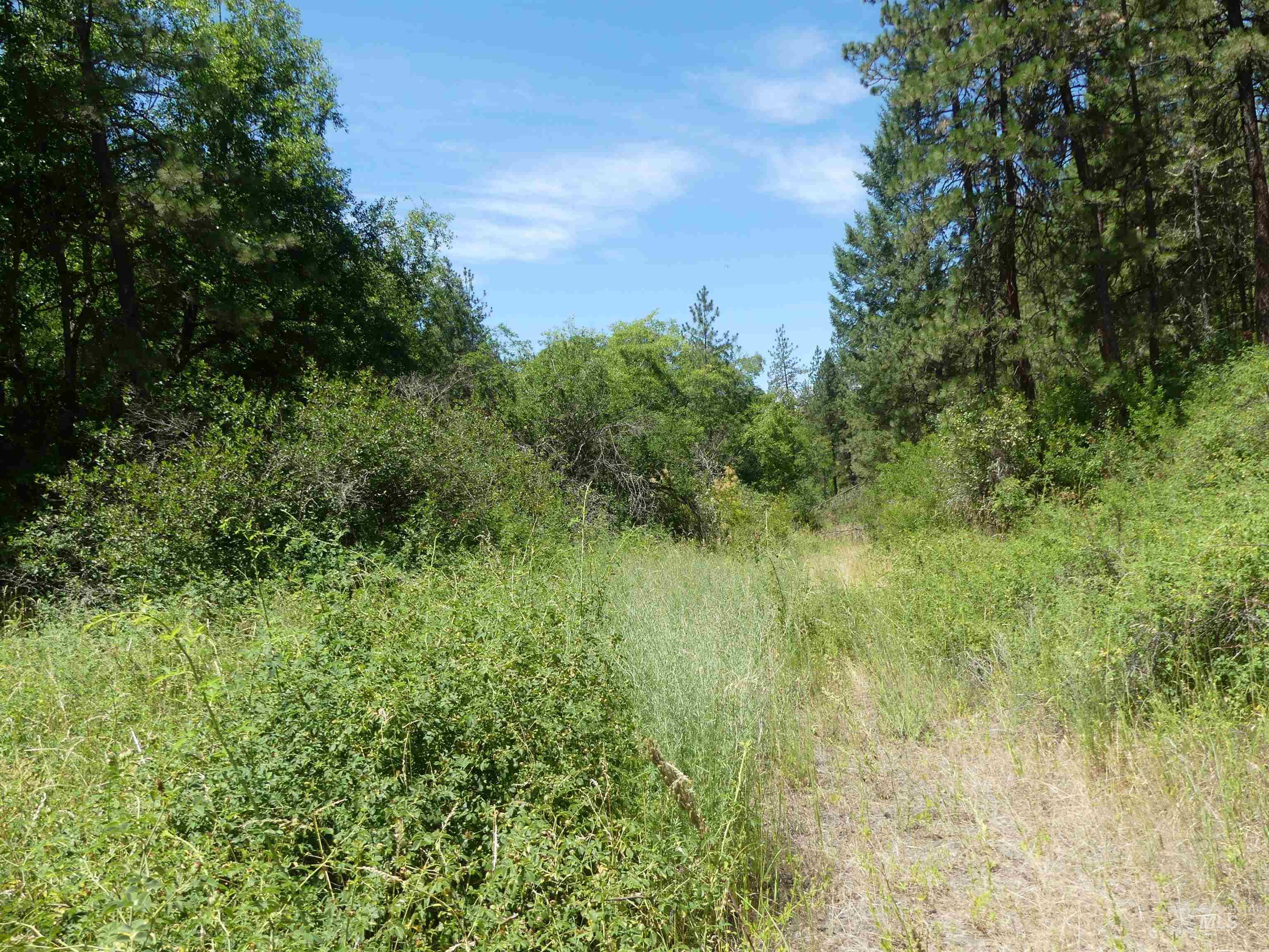 46601 Little Canyon Rd, Orofino, Idaho 83544, Land For Sale, Price $750,000, 98992812