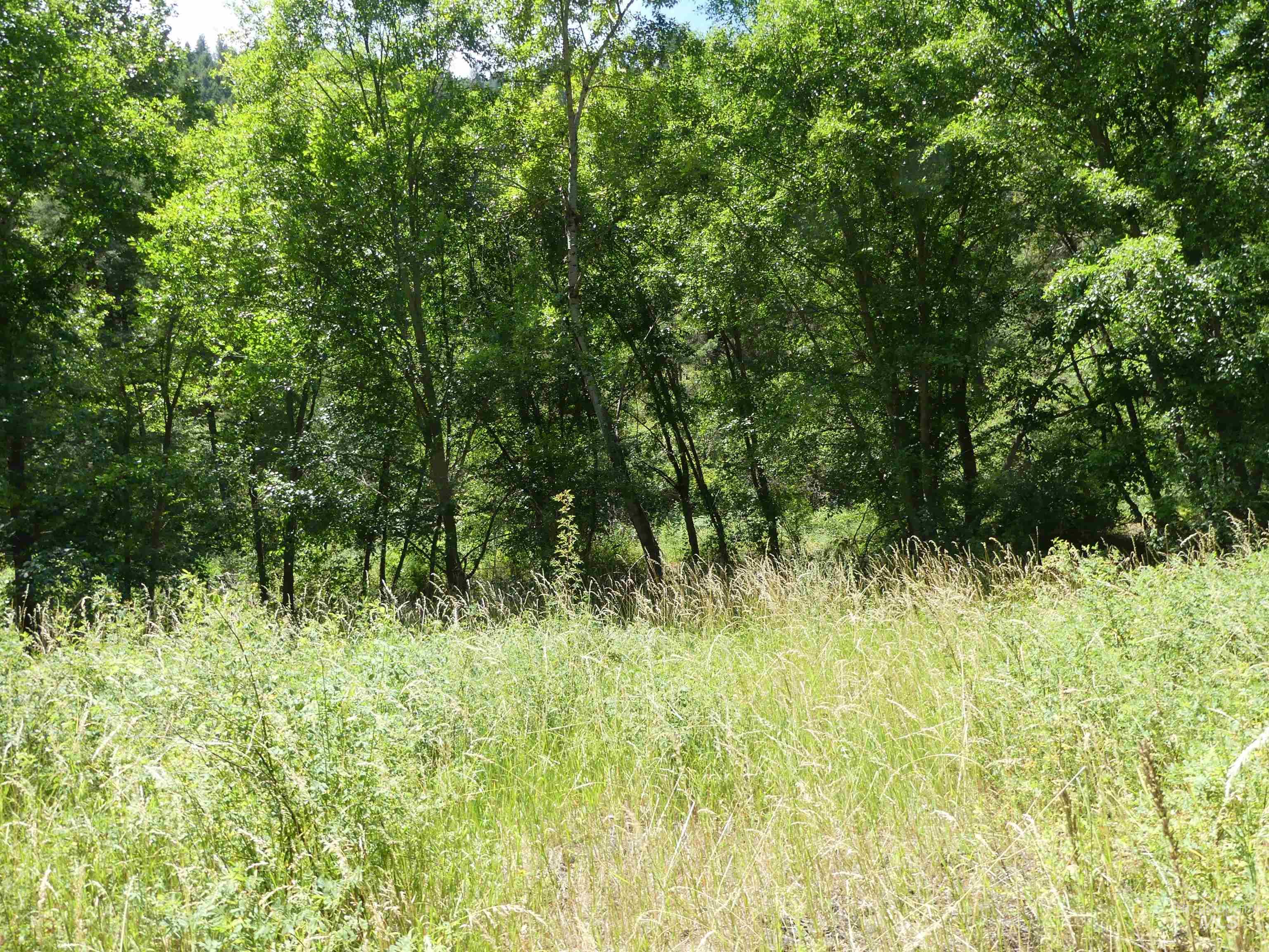 46601 Little Canyon Rd, Orofino, Idaho 83544, Land For Sale, Price $750,000, 98992812