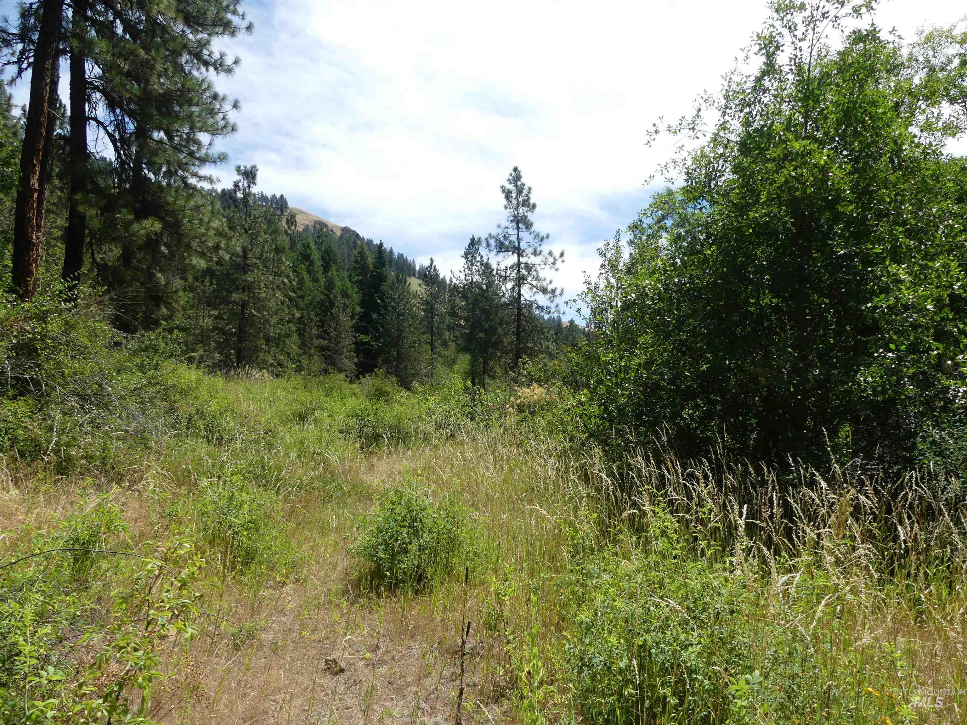 46601 Little Canyon Rd, Orofino, Idaho 83544, Land For Sale, Price $750,000, 98992812