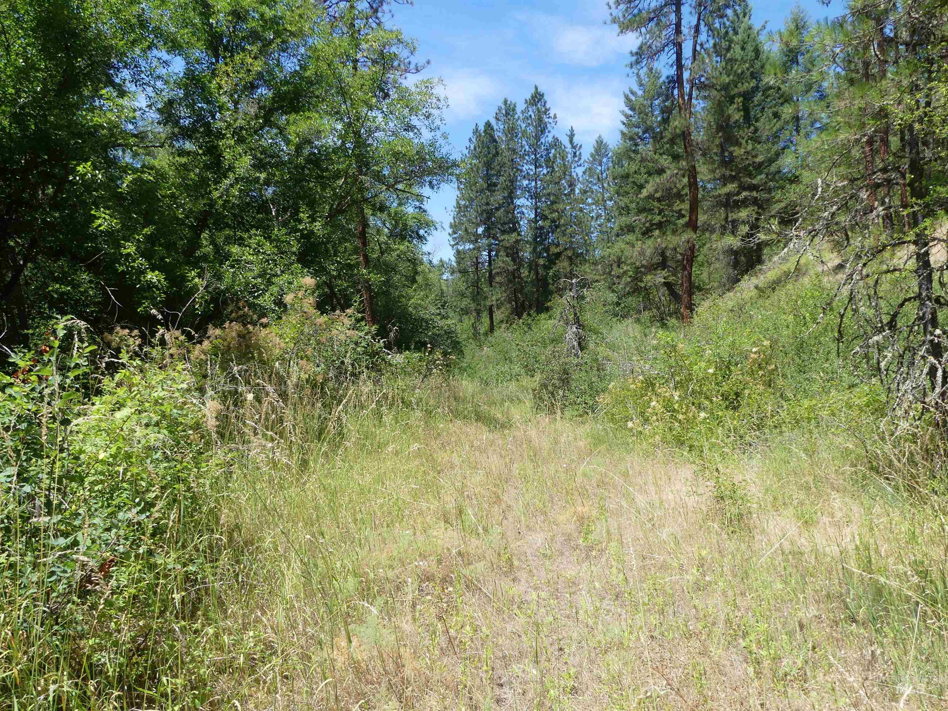 46601 Little Canyon Rd, Orofino, Idaho 83544, Land For Sale, Price $750,000, 98992812