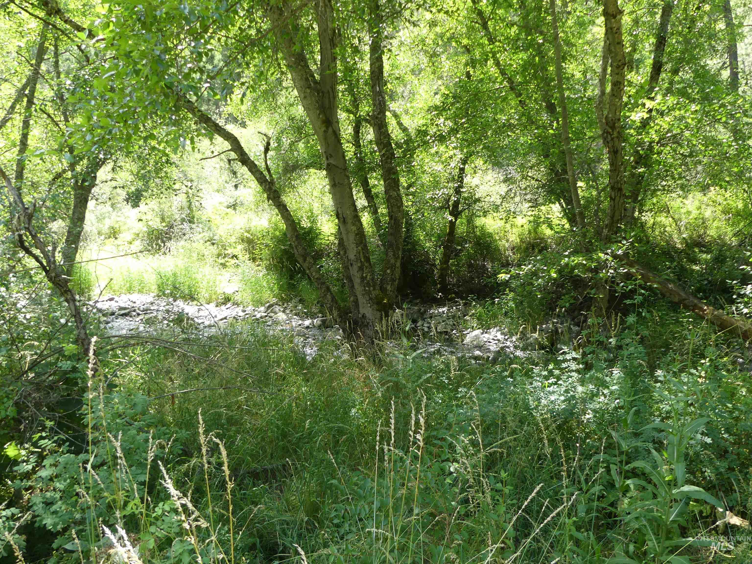 46601 Little Canyon Rd, Orofino, Idaho 83544, Land For Sale, Price $750,000, 98992812