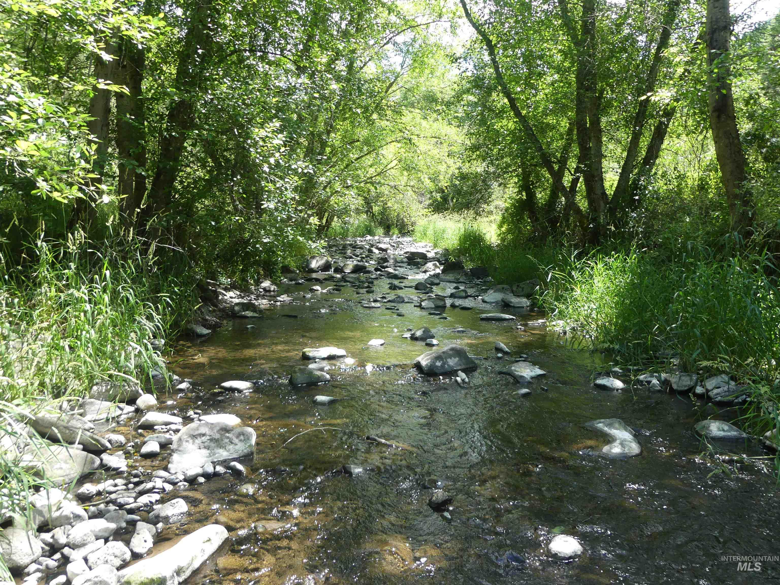 46601 Little Canyon Rd, Orofino, Idaho 83544, Land For Sale, Price $750,000, 98992812