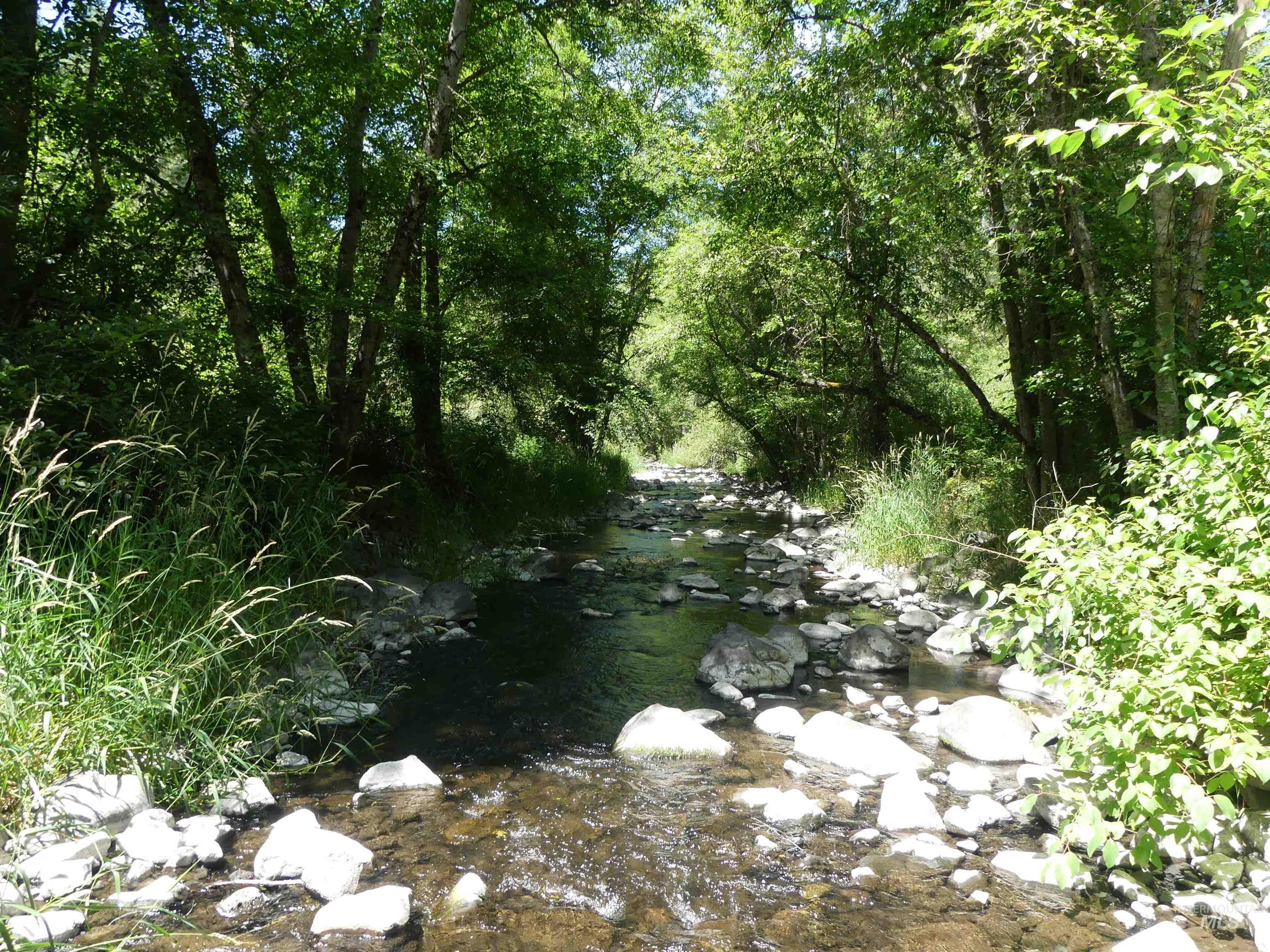 46601 Little Canyon Rd, Orofino, Idaho 83544, Land For Sale, Price $750,000, 98992812