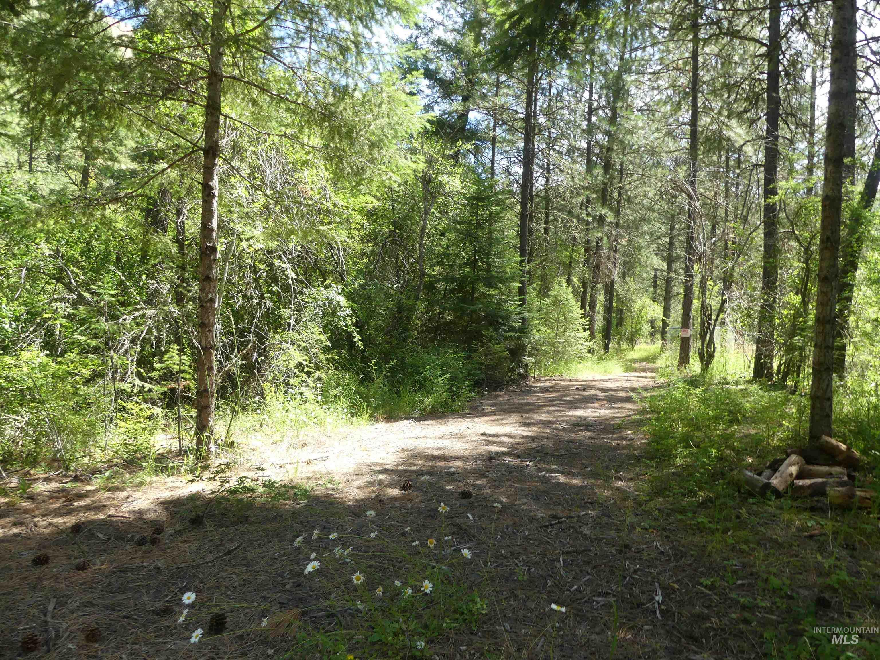 46601 Little Canyon Rd, Orofino, Idaho 83544, Land For Sale, Price $750,000, 98992812