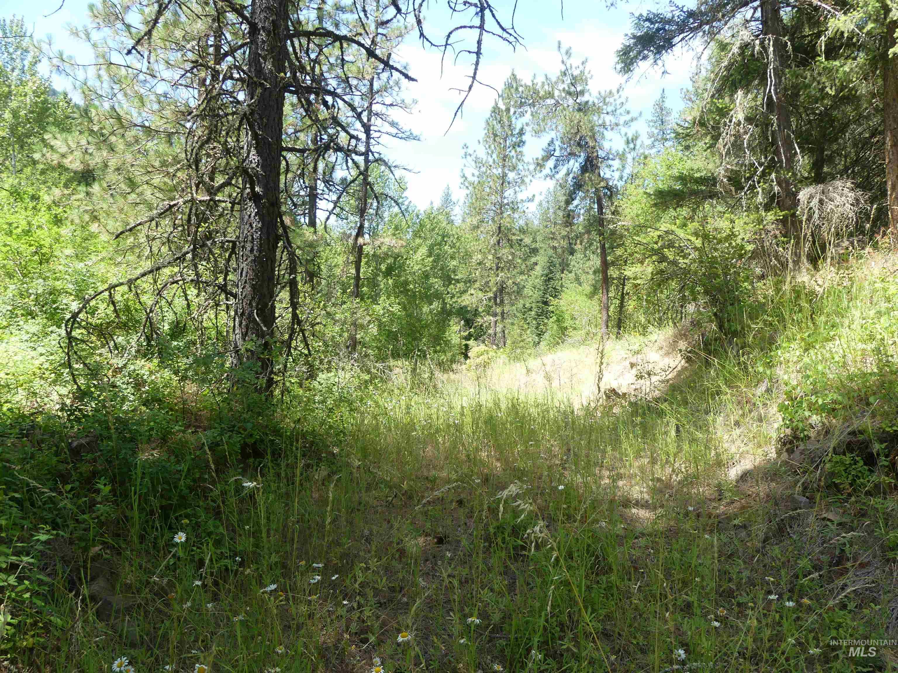 46601 Little Canyon Rd, Orofino, Idaho 83544, Land For Sale, Price $750,000, 98992812