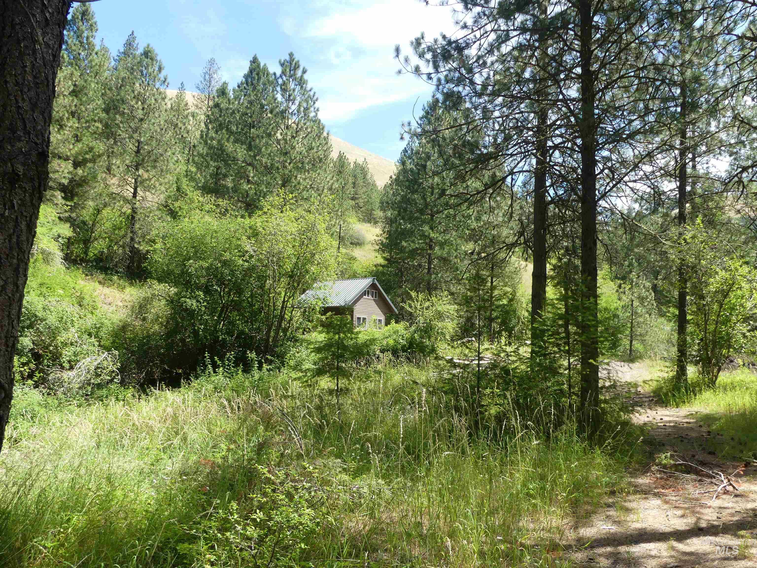 46601 Little Canyon Rd, Orofino, Idaho 83544, Land For Sale, Price $750,000, 98992812