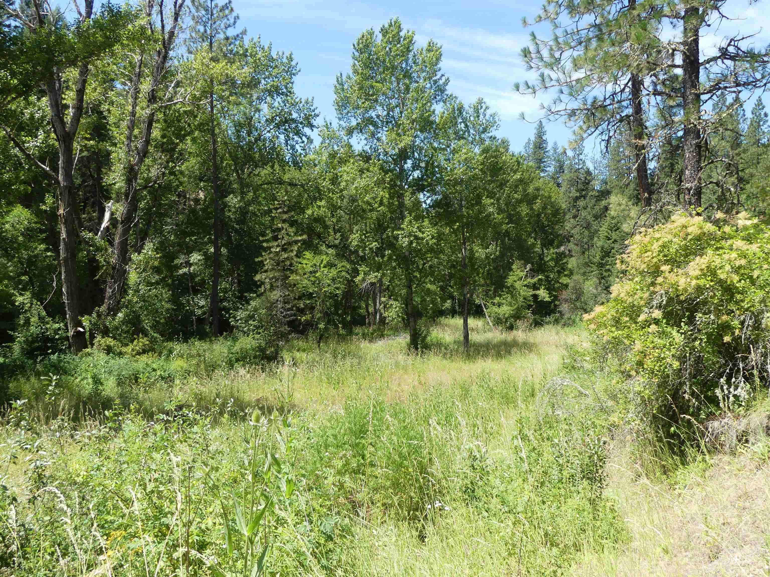 46601 Little Canyon Rd, Orofino, Idaho 83544, Land For Sale, Price $750,000, 98992812
