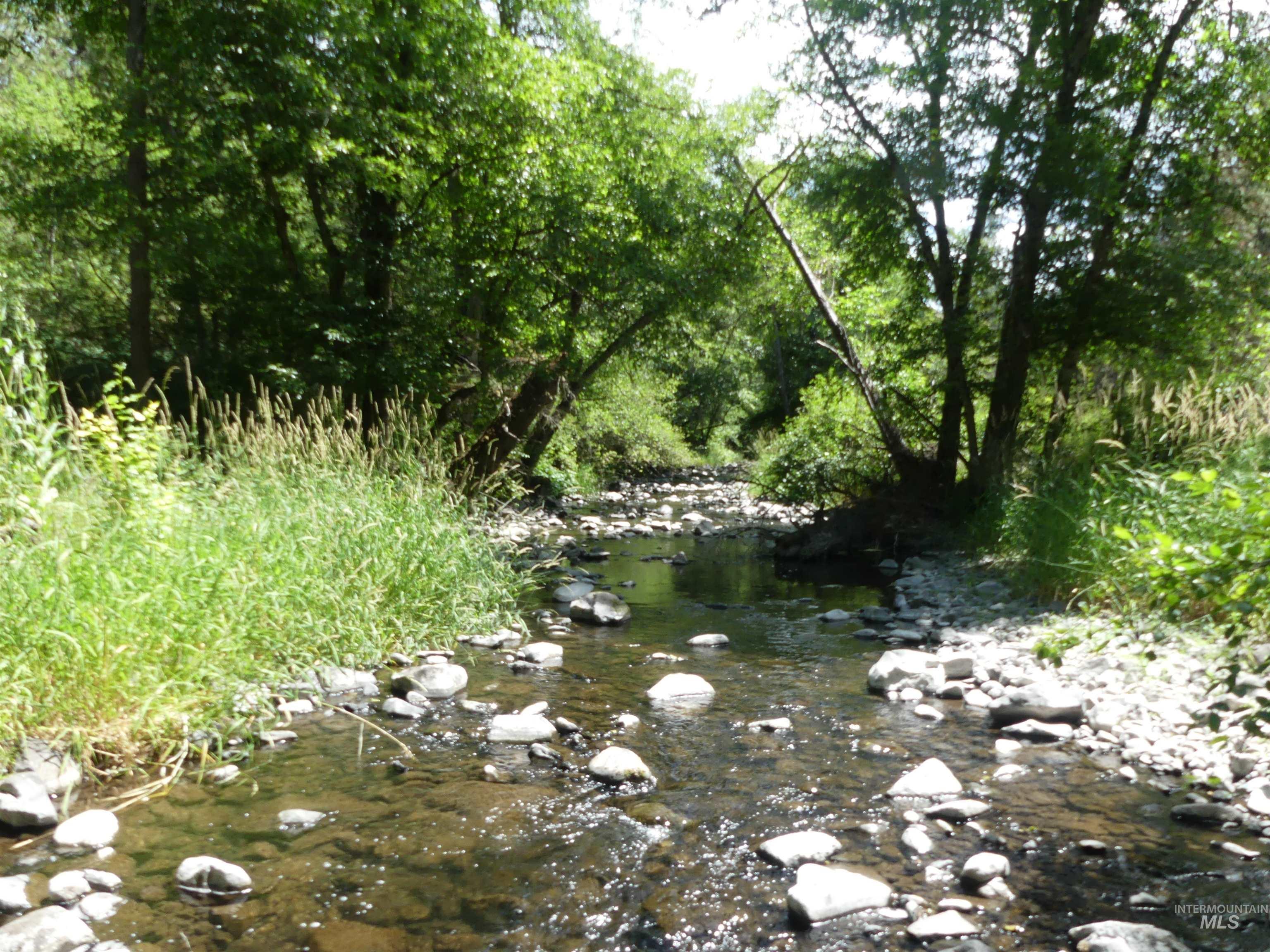 46601 Little Canyon Rd, Orofino, Idaho 83544, Land For Sale, Price $750,000, 98992812