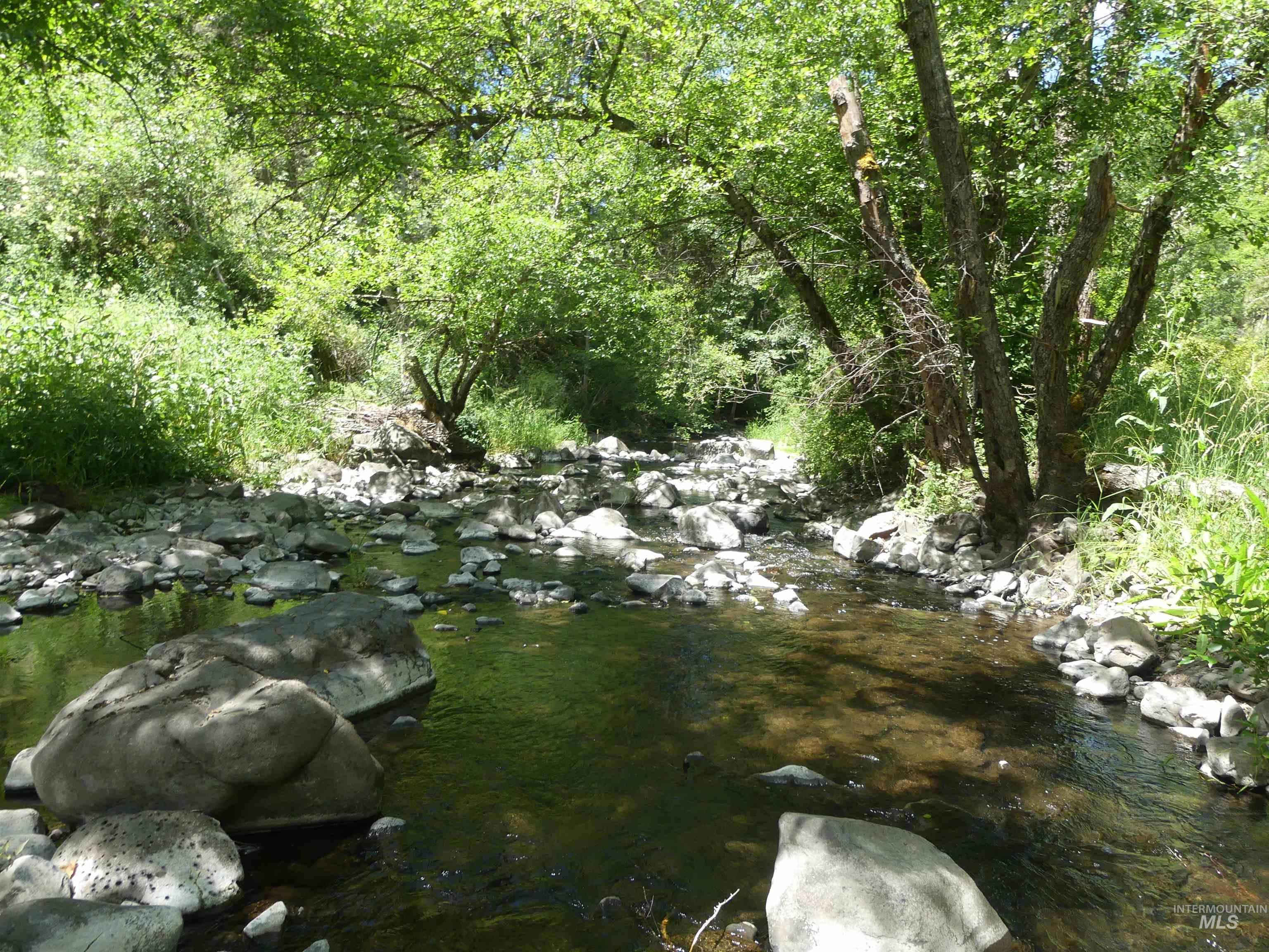 46601 Little Canyon Rd, Orofino, Idaho 83544, Land For Sale, Price $750,000, 98992812