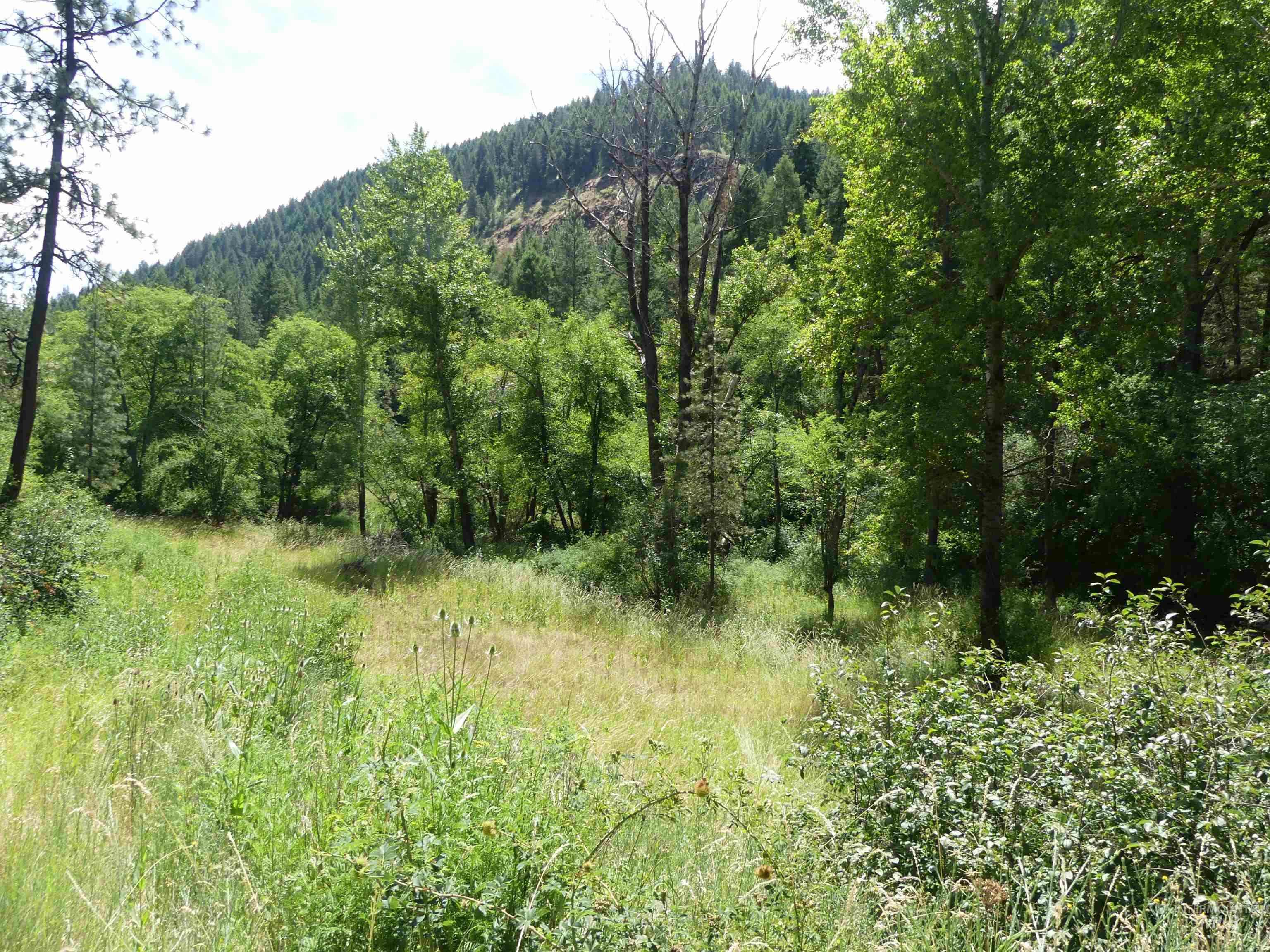 46601 Little Canyon Rd, Orofino, Idaho 83544, Land For Sale, Price $750,000, 98992812