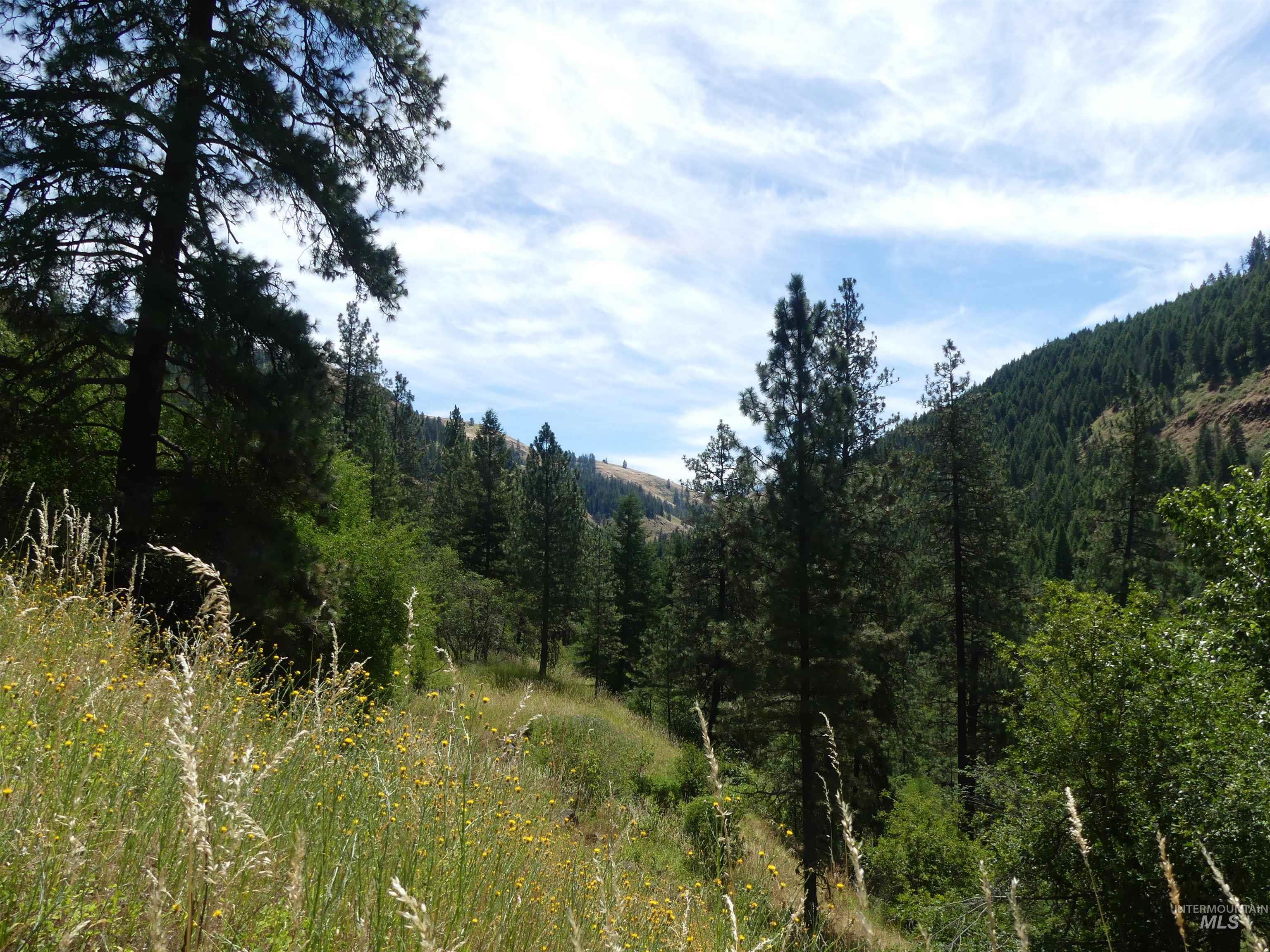 46601 Little Canyon Rd, Orofino, Idaho 83544, Land For Sale, Price $750,000, 98992812