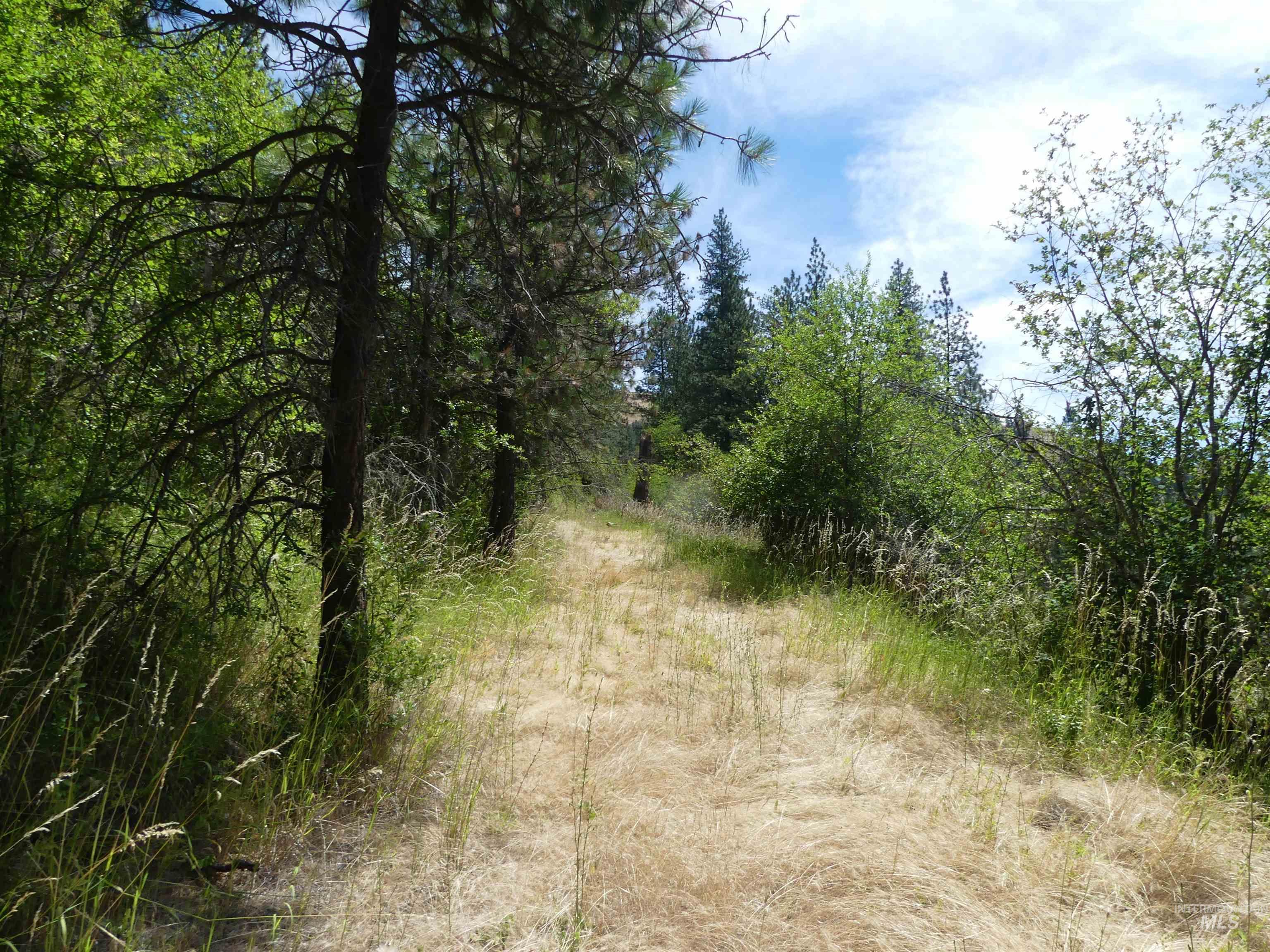 46601 Little Canyon Rd, Orofino, Idaho 83544, Land For Sale, Price $750,000, 98992812