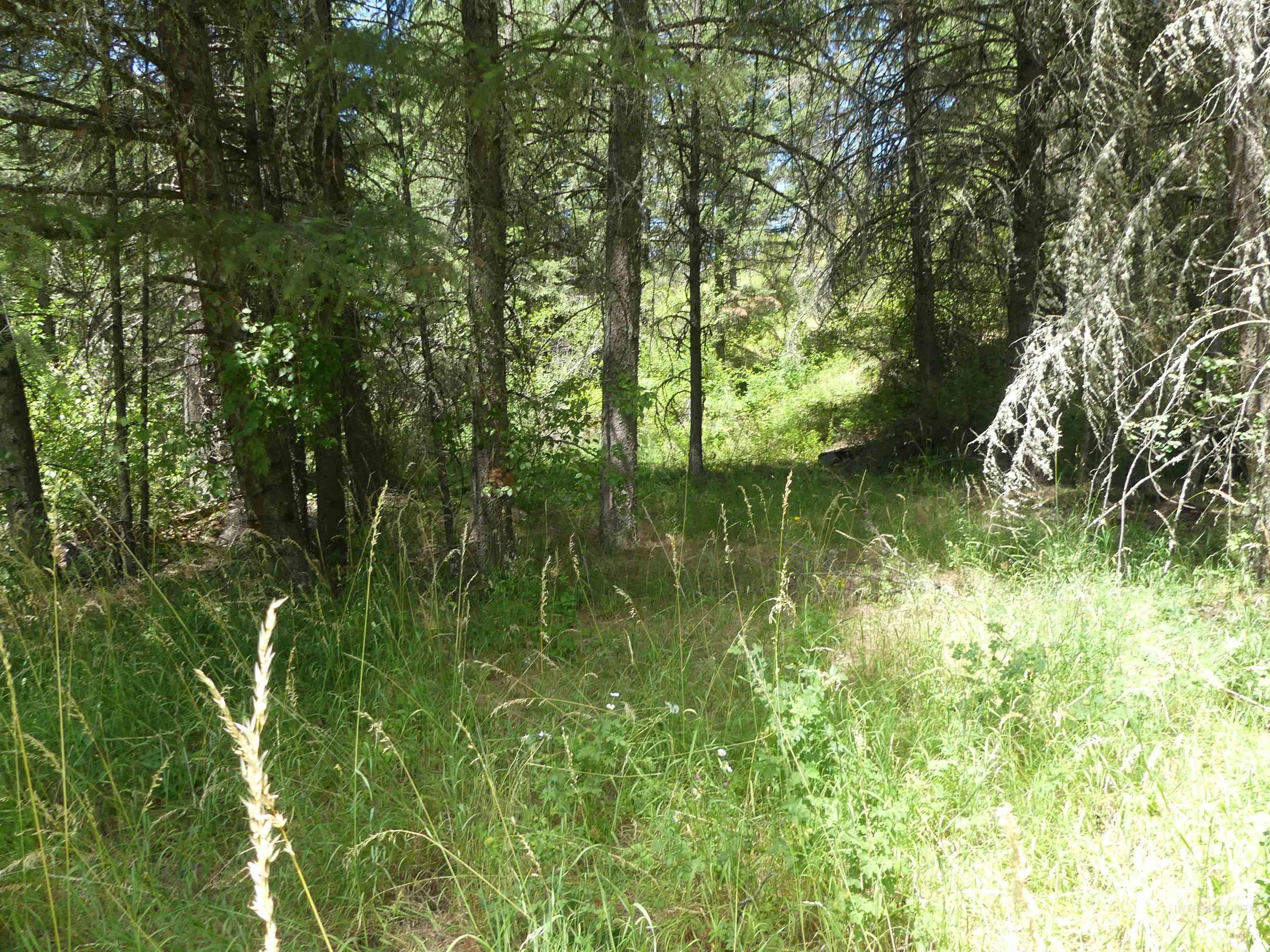 46601 Little Canyon Rd, Orofino, Idaho 83544, Land For Sale, Price $750,000, 98992812