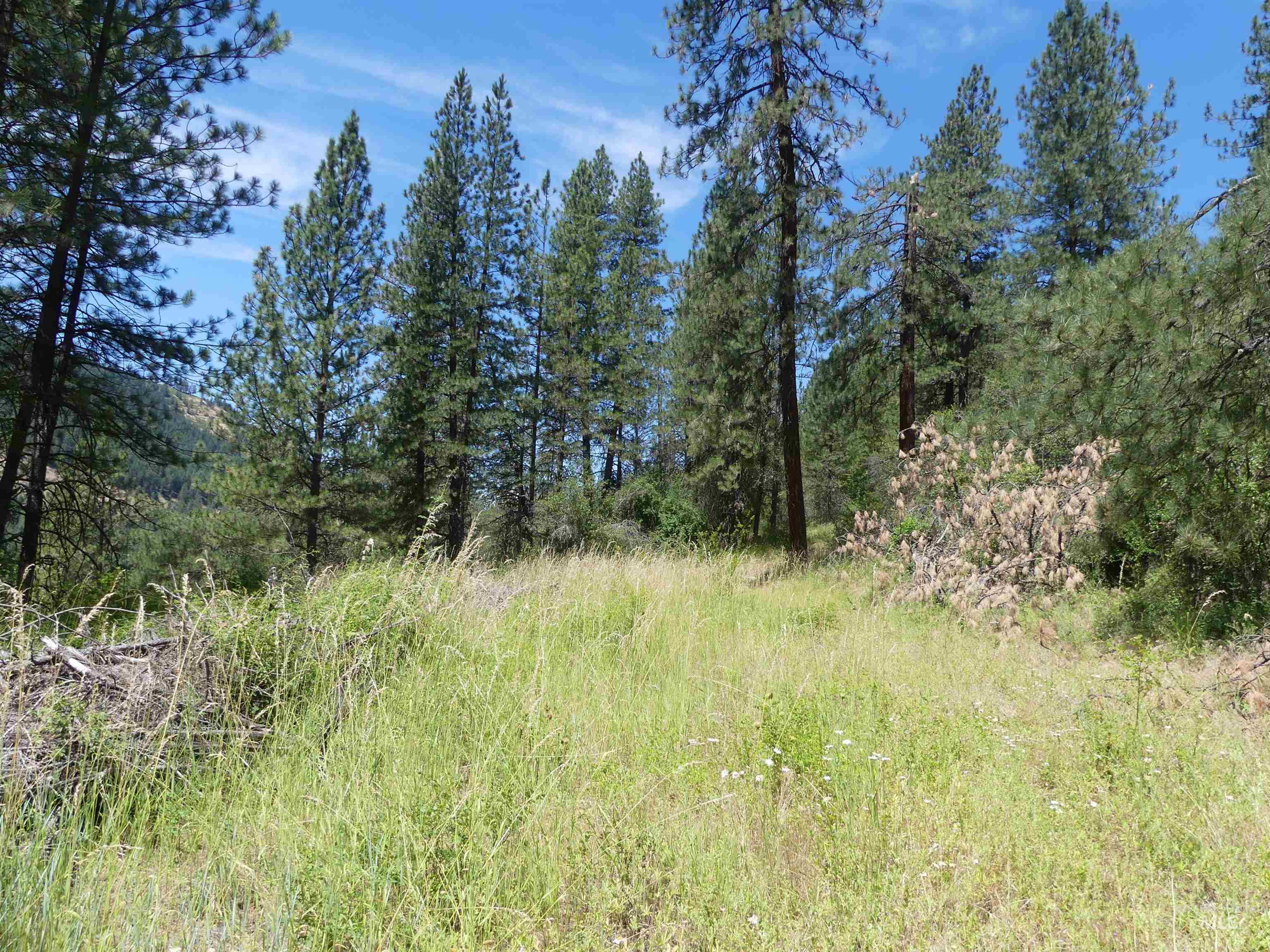 46601 Little Canyon Rd, Orofino, Idaho 83544, Land For Sale, Price $750,000, 98992812