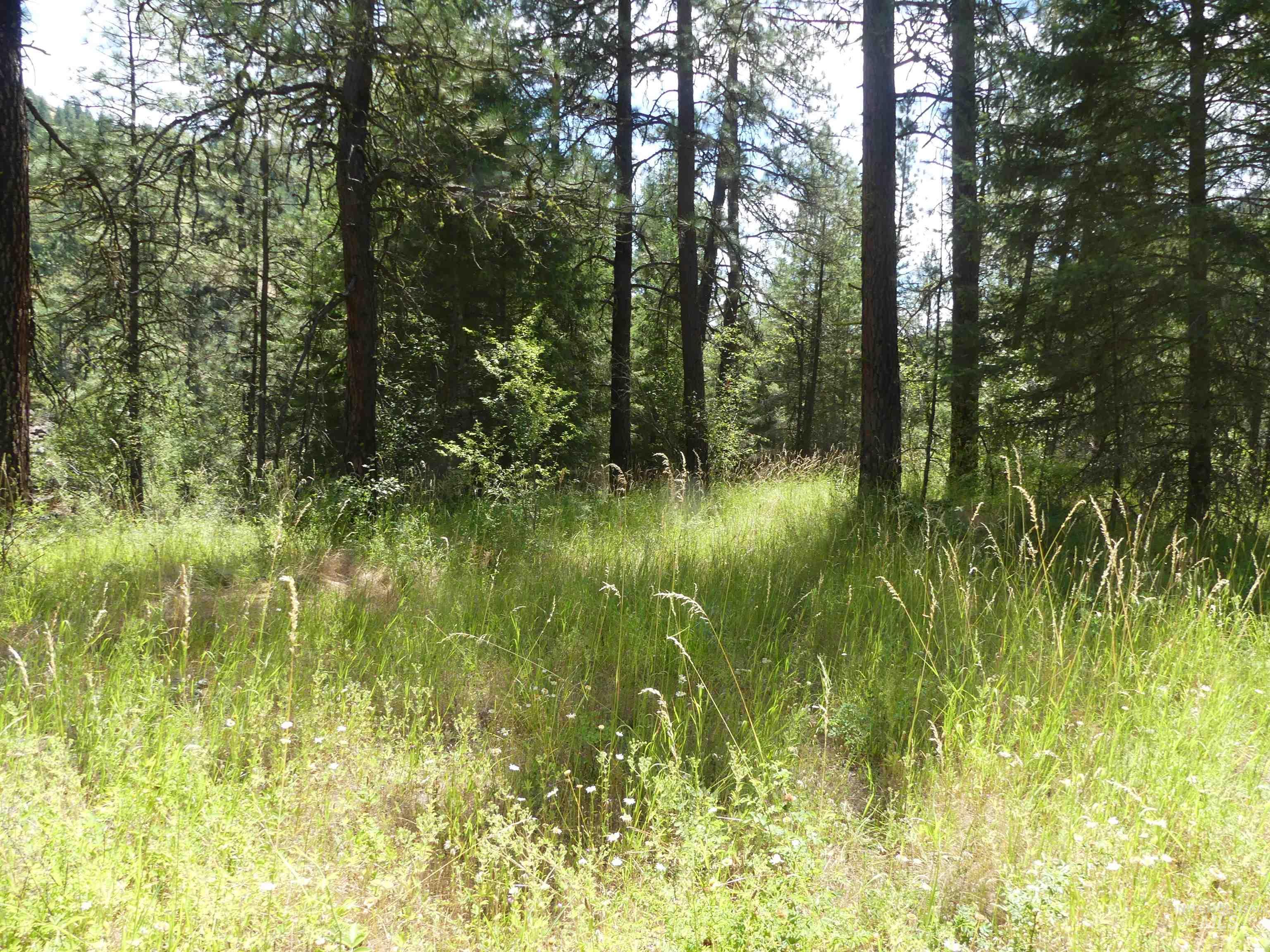 46601 Little Canyon Rd, Orofino, Idaho 83544, Land For Sale, Price $750,000, 98992812