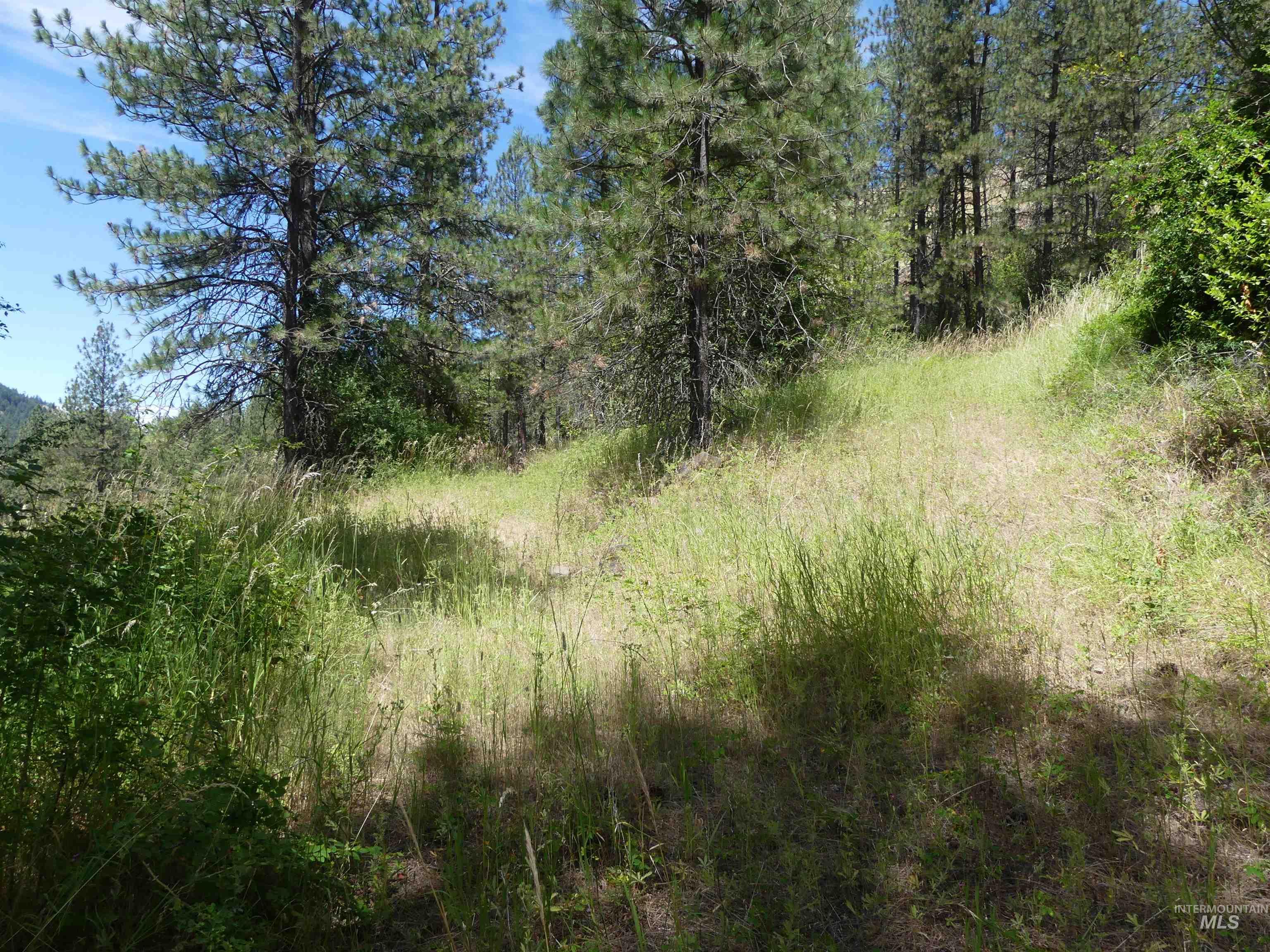 46601 Little Canyon Rd, Orofino, Idaho 83544, Land For Sale, Price $750,000, 98992812