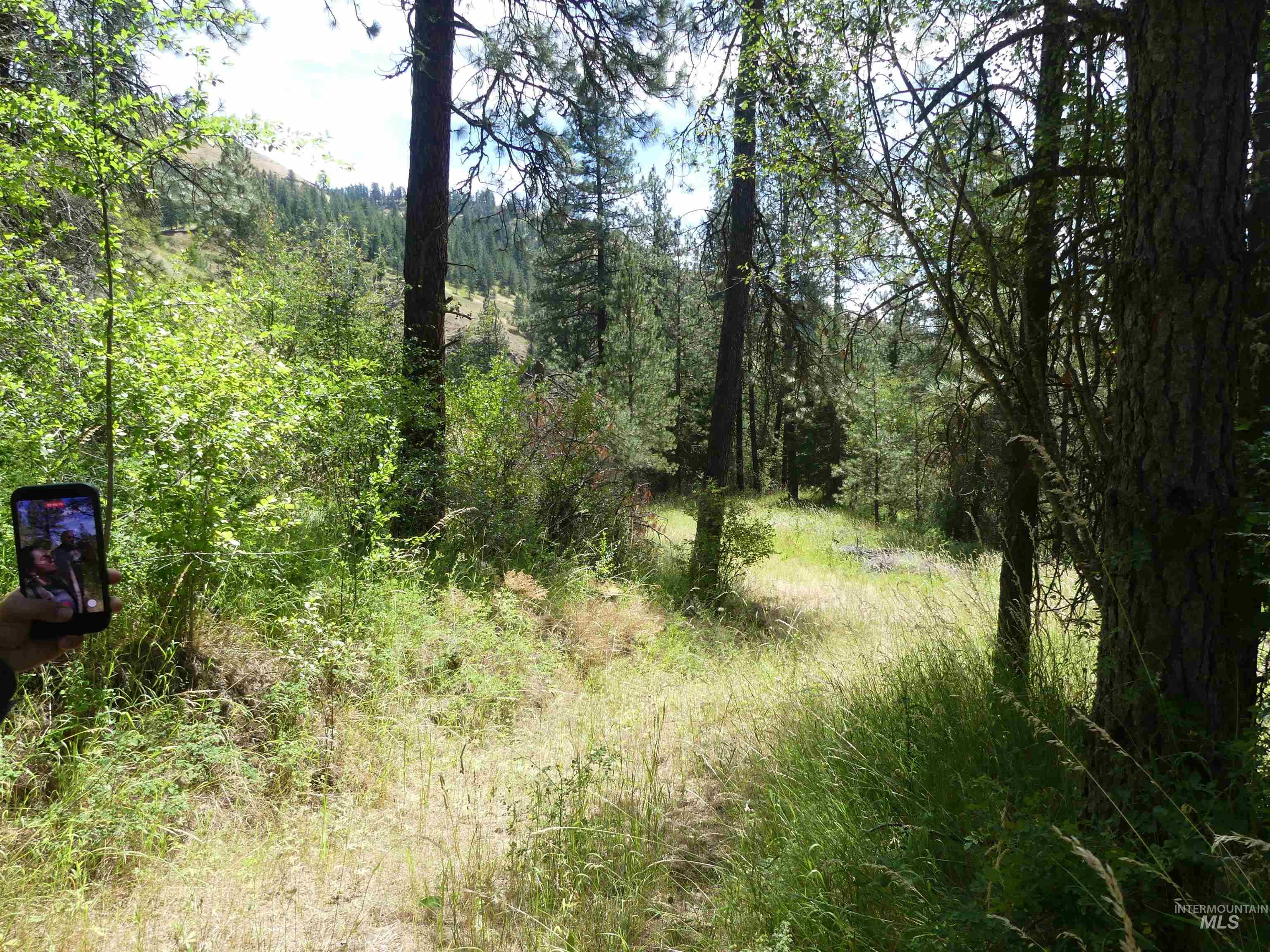 46601 Little Canyon Rd, Orofino, Idaho 83544, Land For Sale, Price $750,000, 98992812
