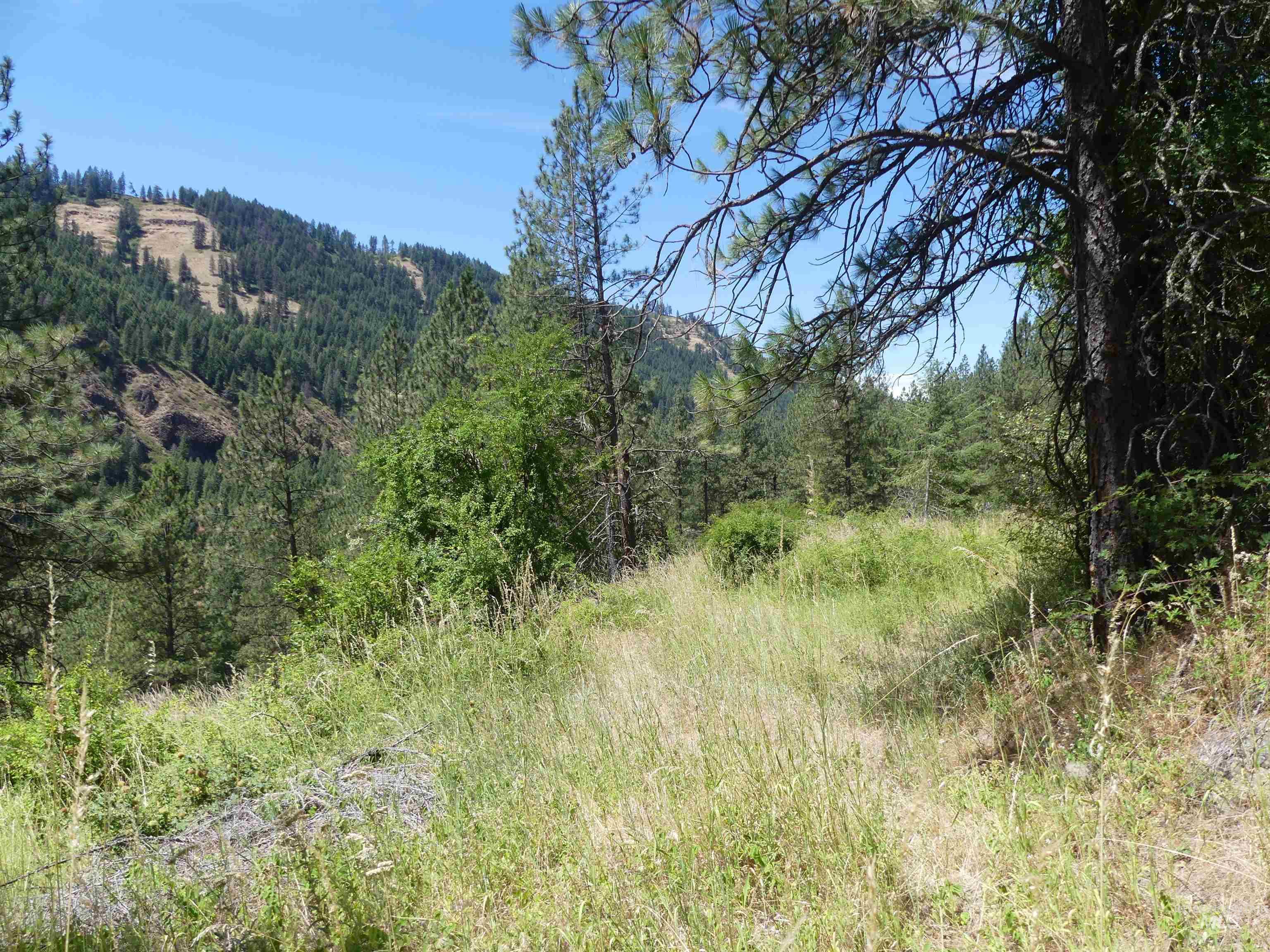46601 Little Canyon Rd, Orofino, Idaho 83544, Land For Sale, Price $750,000, 98992812