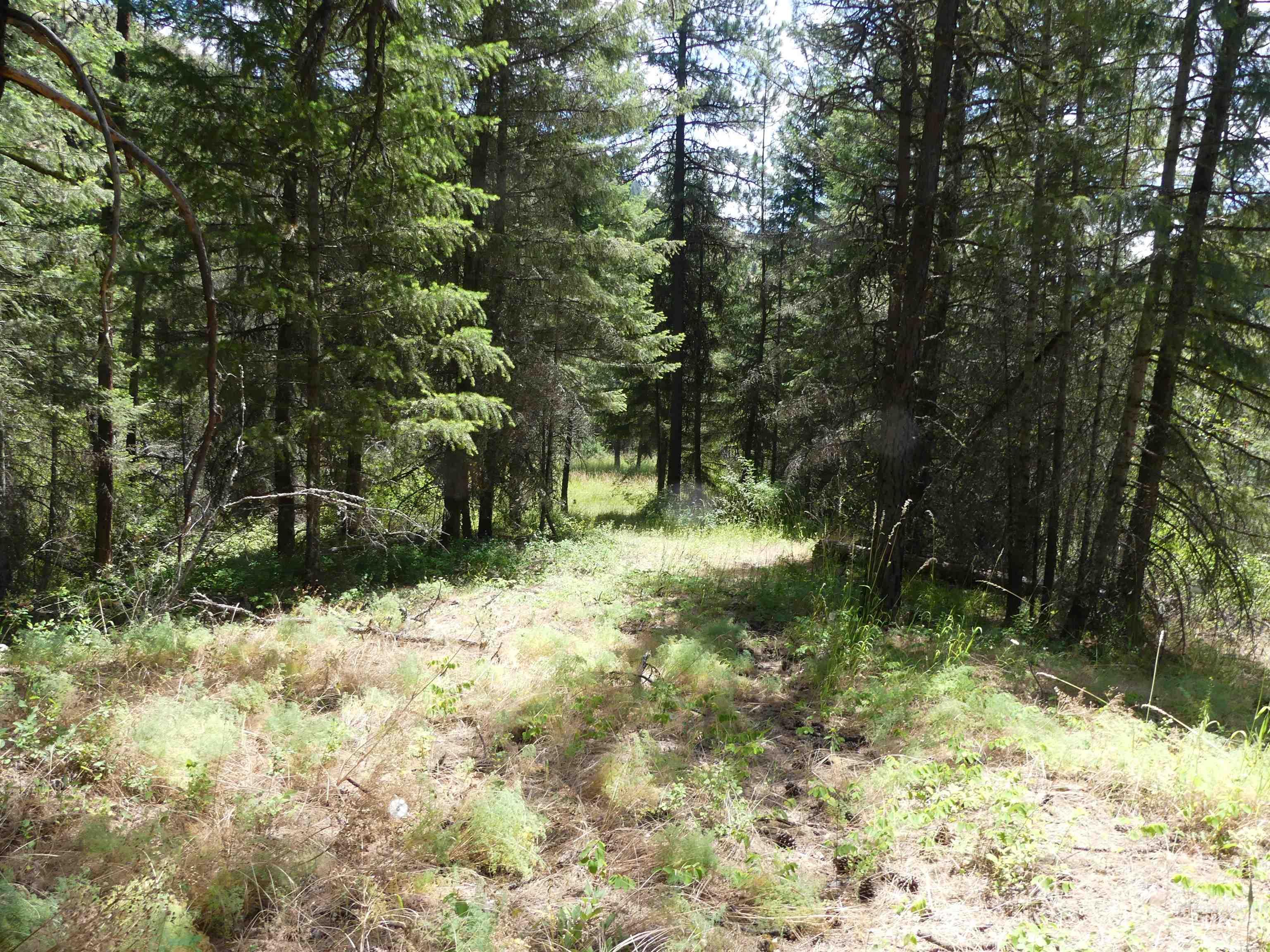 46601 Little Canyon Rd, Orofino, Idaho 83544, Land For Sale, Price $750,000, 98992812