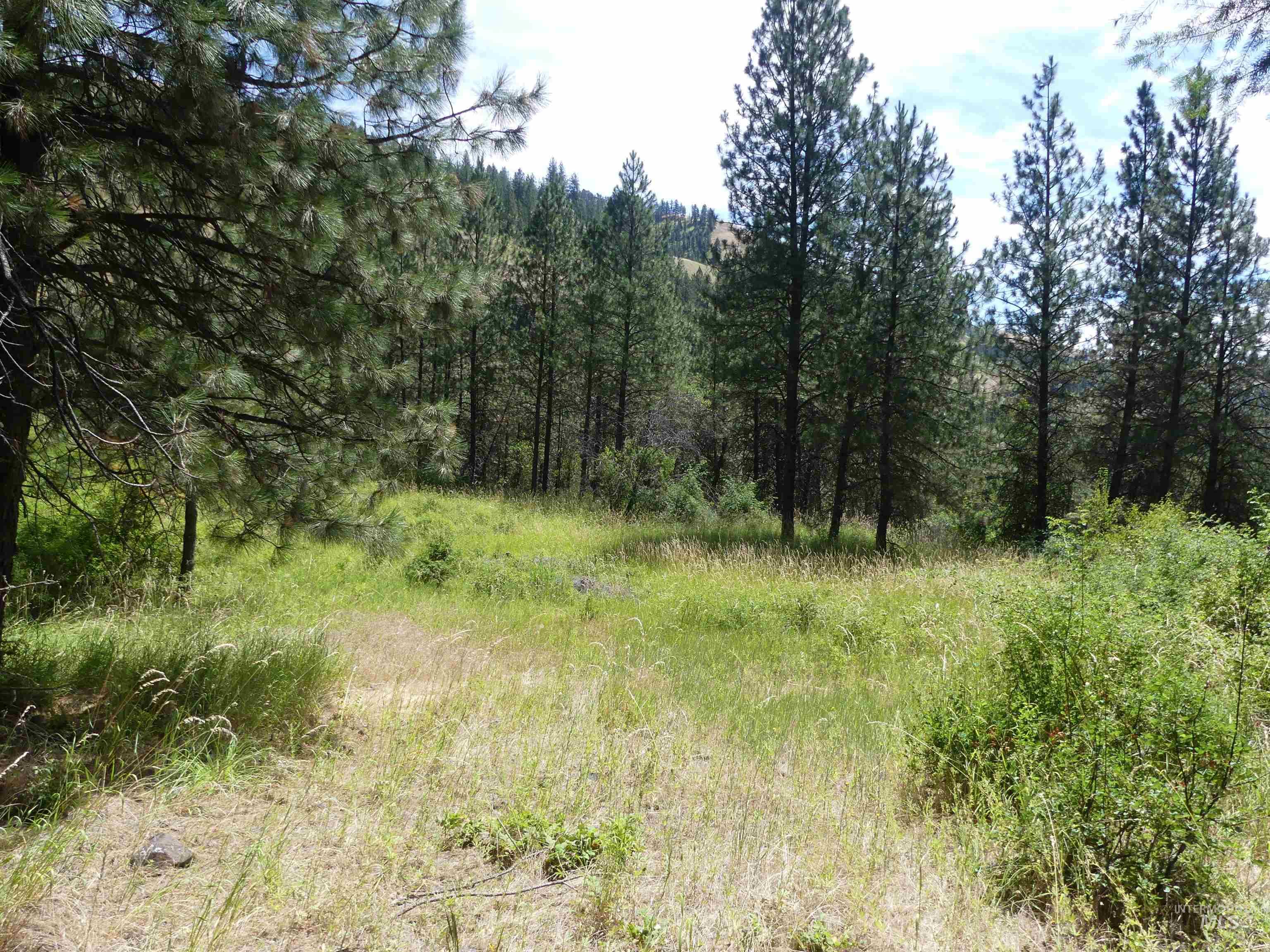 46601 Little Canyon Rd, Orofino, Idaho 83544, Land For Sale, Price $750,000, 98992812
