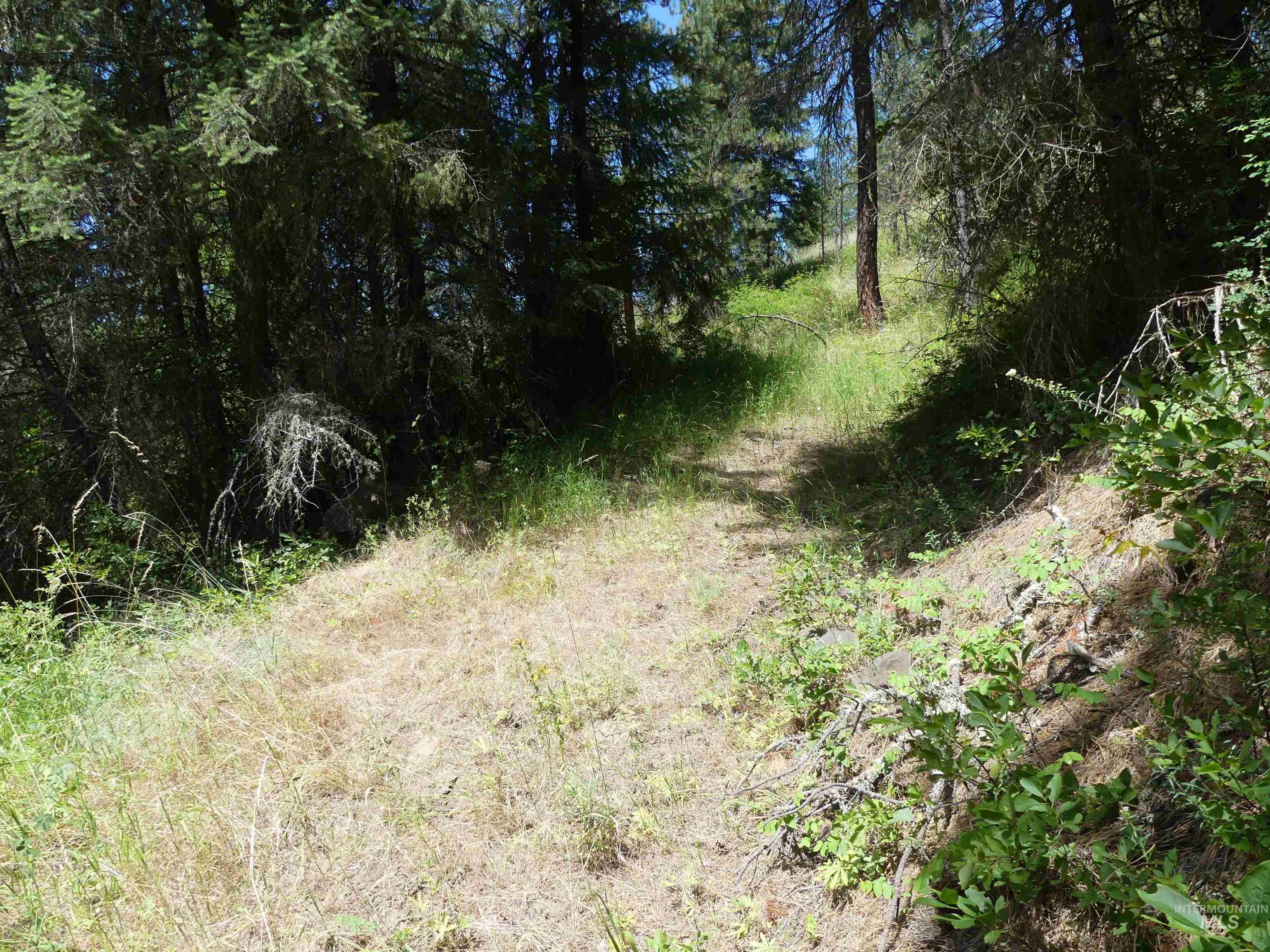 46601 Little Canyon Rd, Orofino, Idaho 83544, Land For Sale, Price $750,000, 98992812
