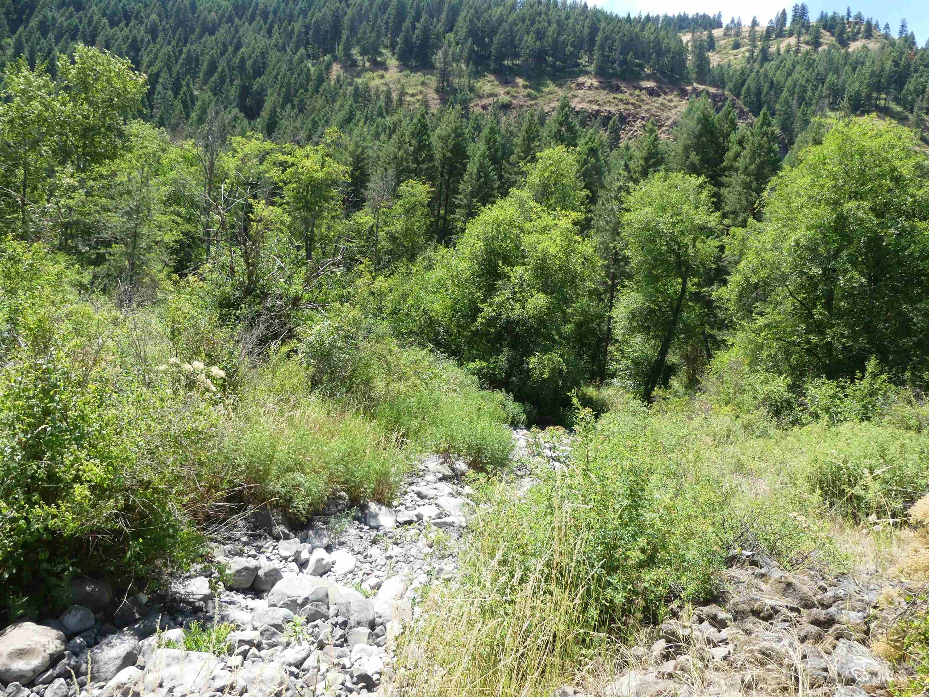 46601 Little Canyon Rd, Orofino, Idaho 83544, Land For Sale, Price $750,000, 98992812