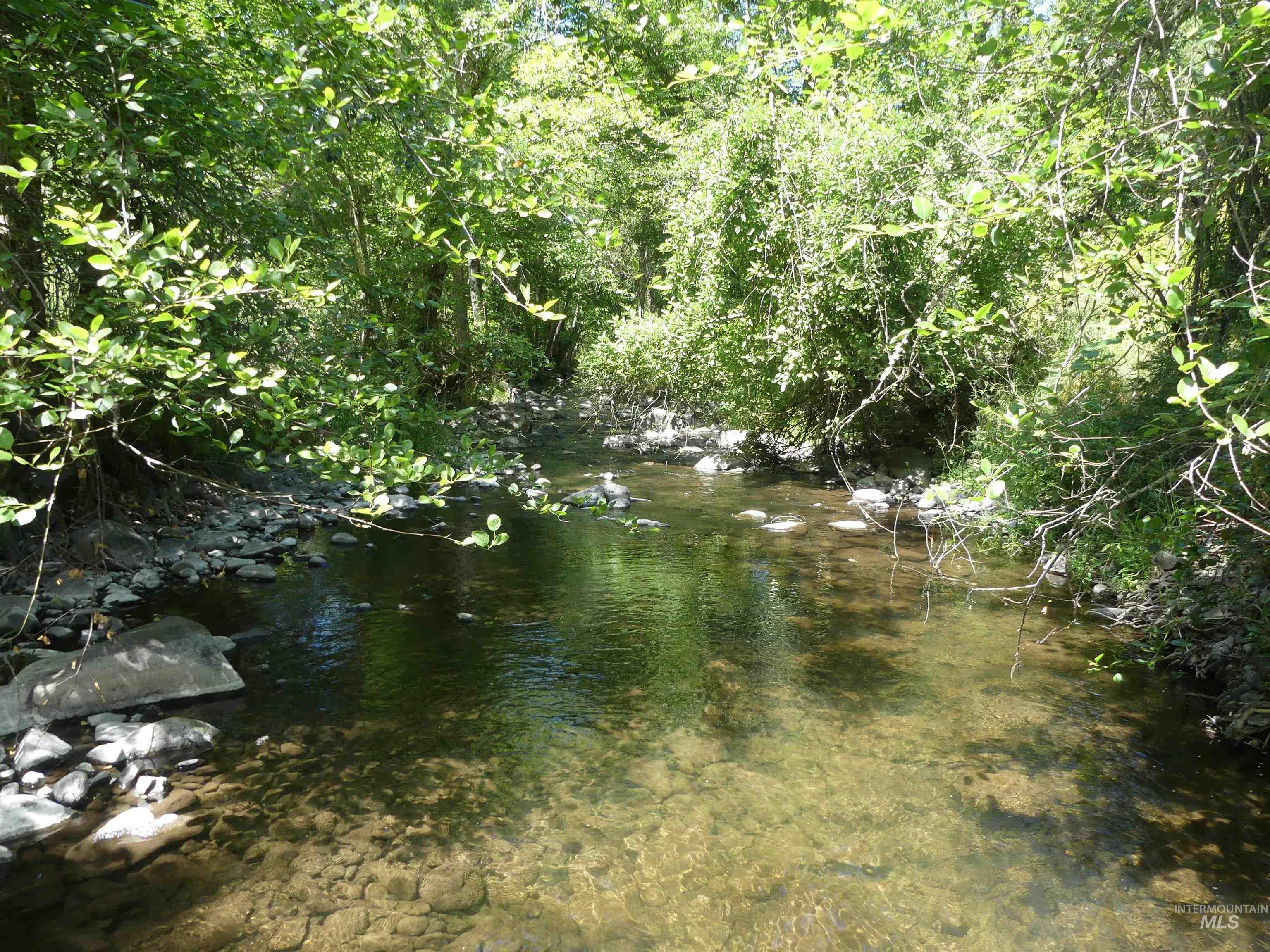 46601 Little Canyon Rd, Orofino, Idaho 83544, Land For Sale, Price $750,000, 98992812