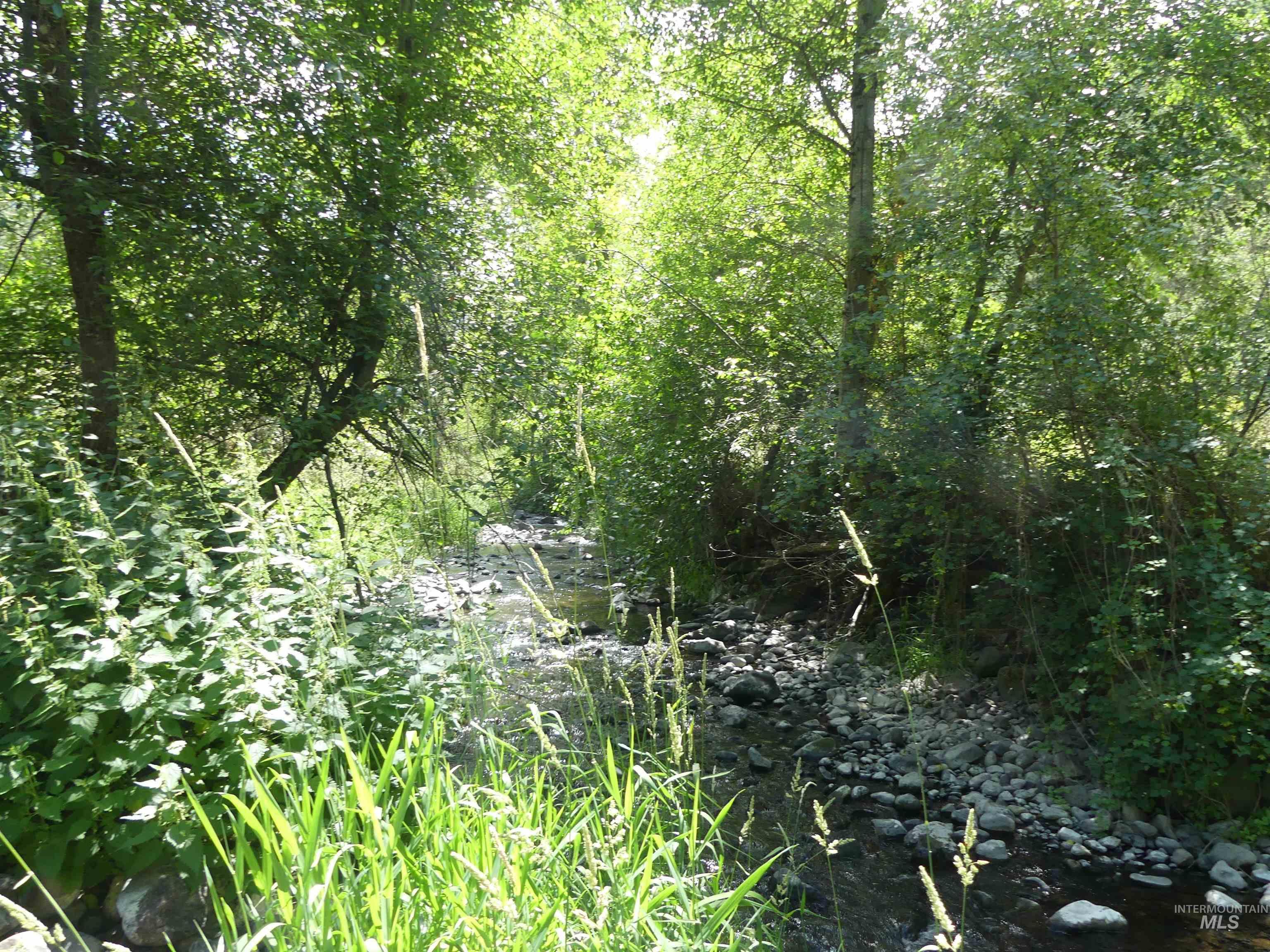 46601 Little Canyon Rd, Orofino, Idaho 83544, Land For Sale, Price $750,000, 98992812