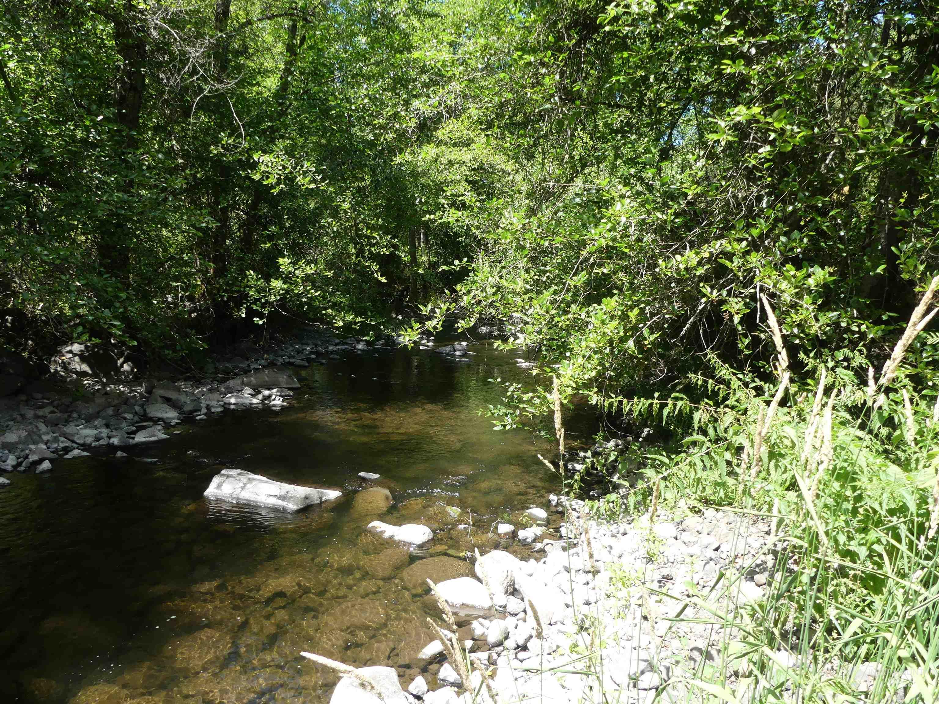 46601 Little Canyon Rd, Orofino, Idaho 83544, Land For Sale, Price $750,000, 98992812