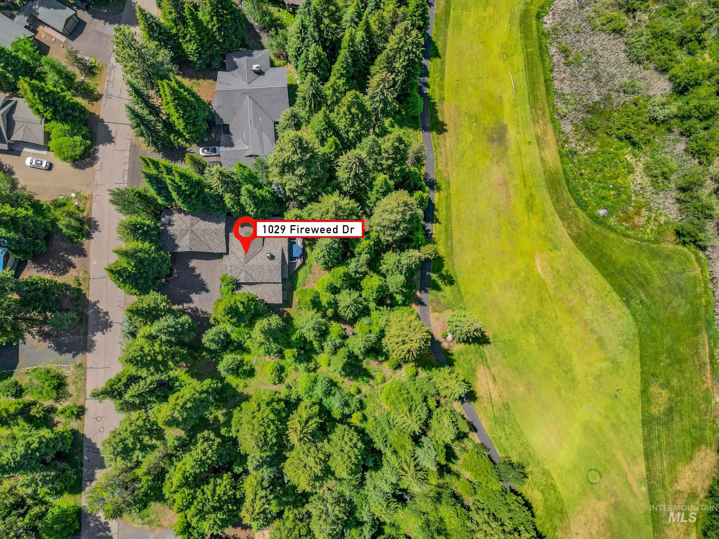 1029 Fireweed Drive, McCall, Idaho 83638, 4 Bedrooms, 4 Bathrooms, Residential For Sale, Price $1,899,000,MLS 98992838