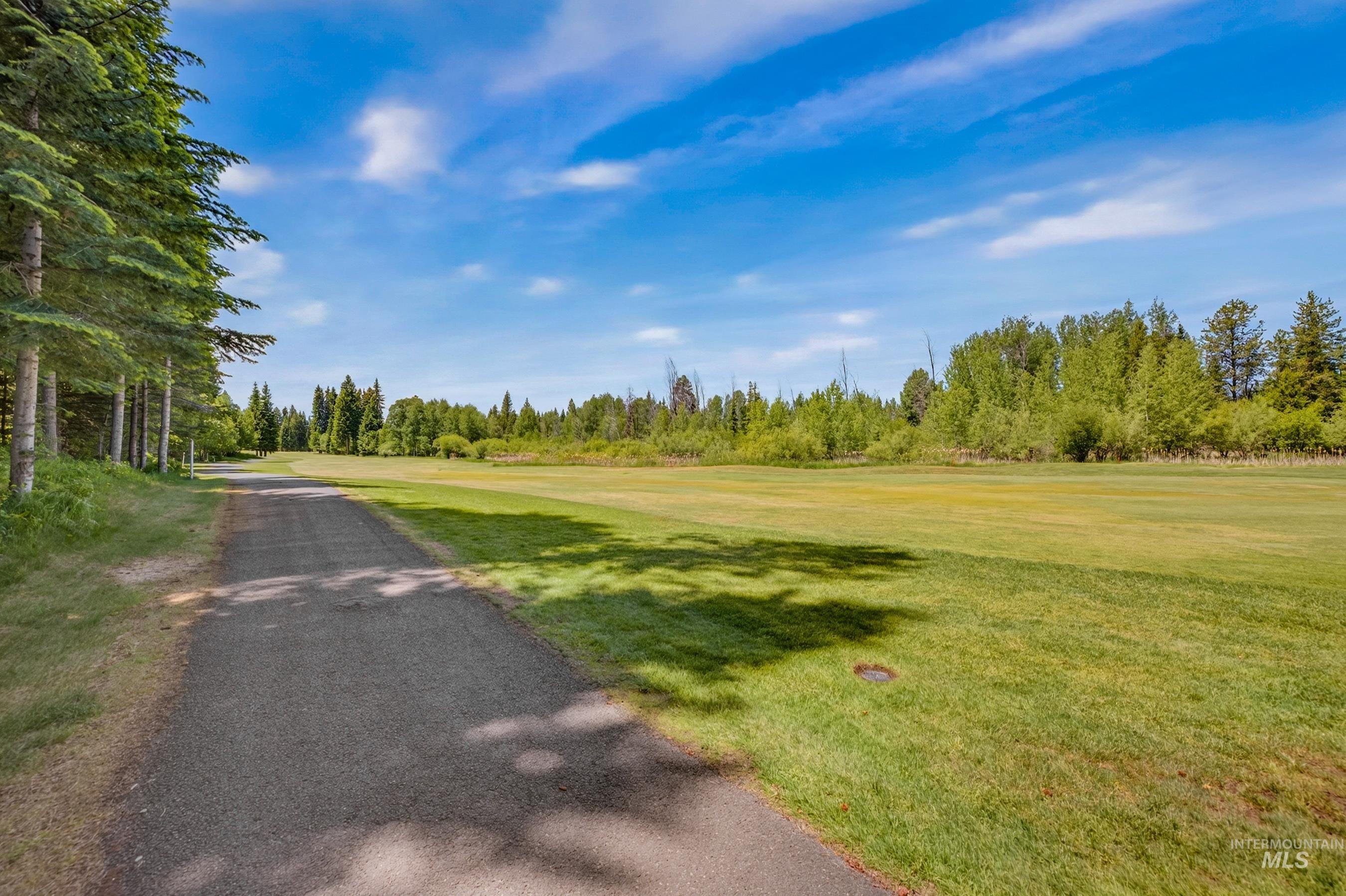 1029 Fireweed Drive, McCall, Idaho 83638, 4 Bedrooms, 4 Bathrooms, Residential For Sale, Price $1,899,000,MLS 98992838