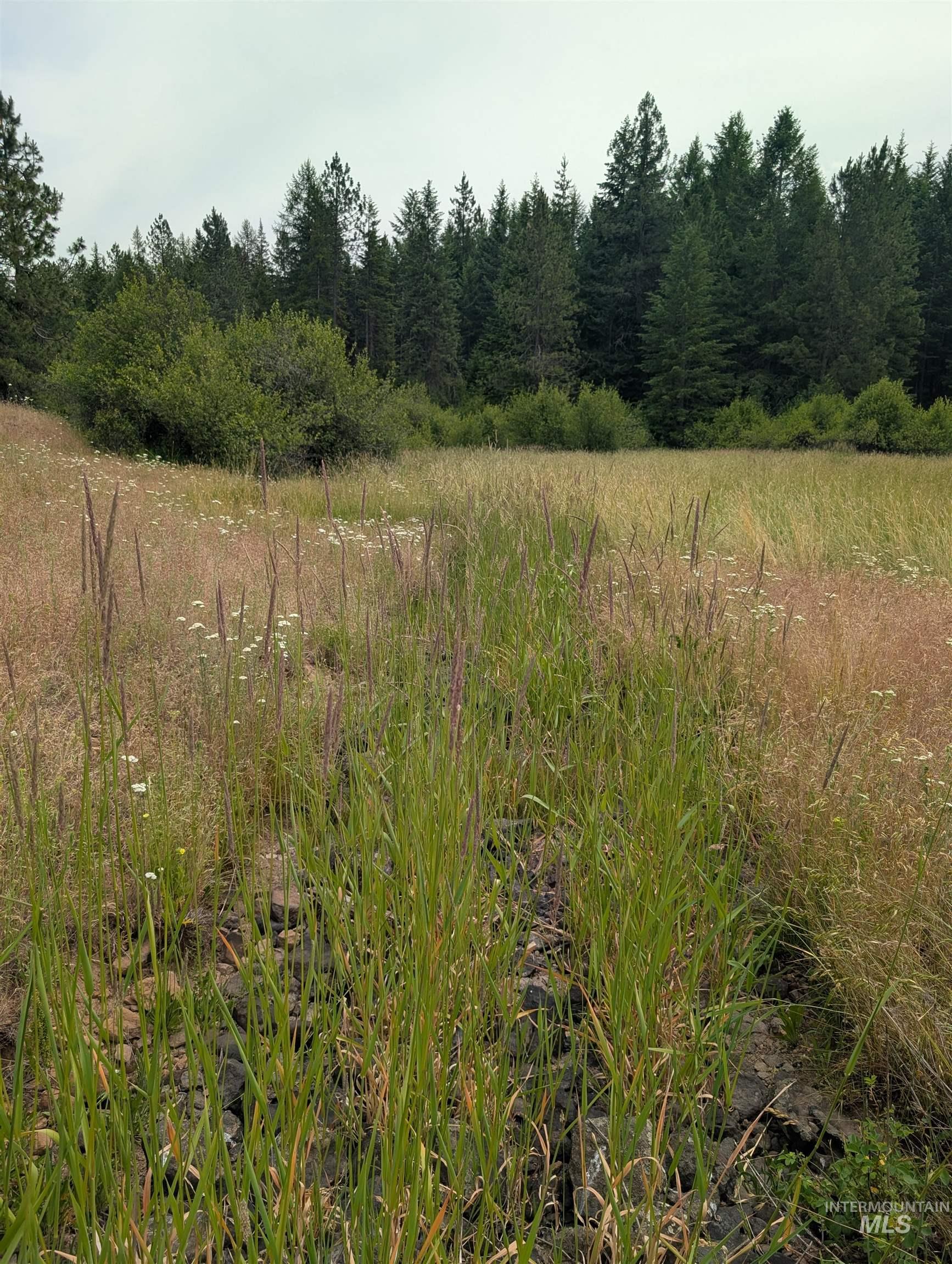 000 Middle Rd, Lenore, Idaho 83541, Land For Sale, Price $600,000,MLS 98992891