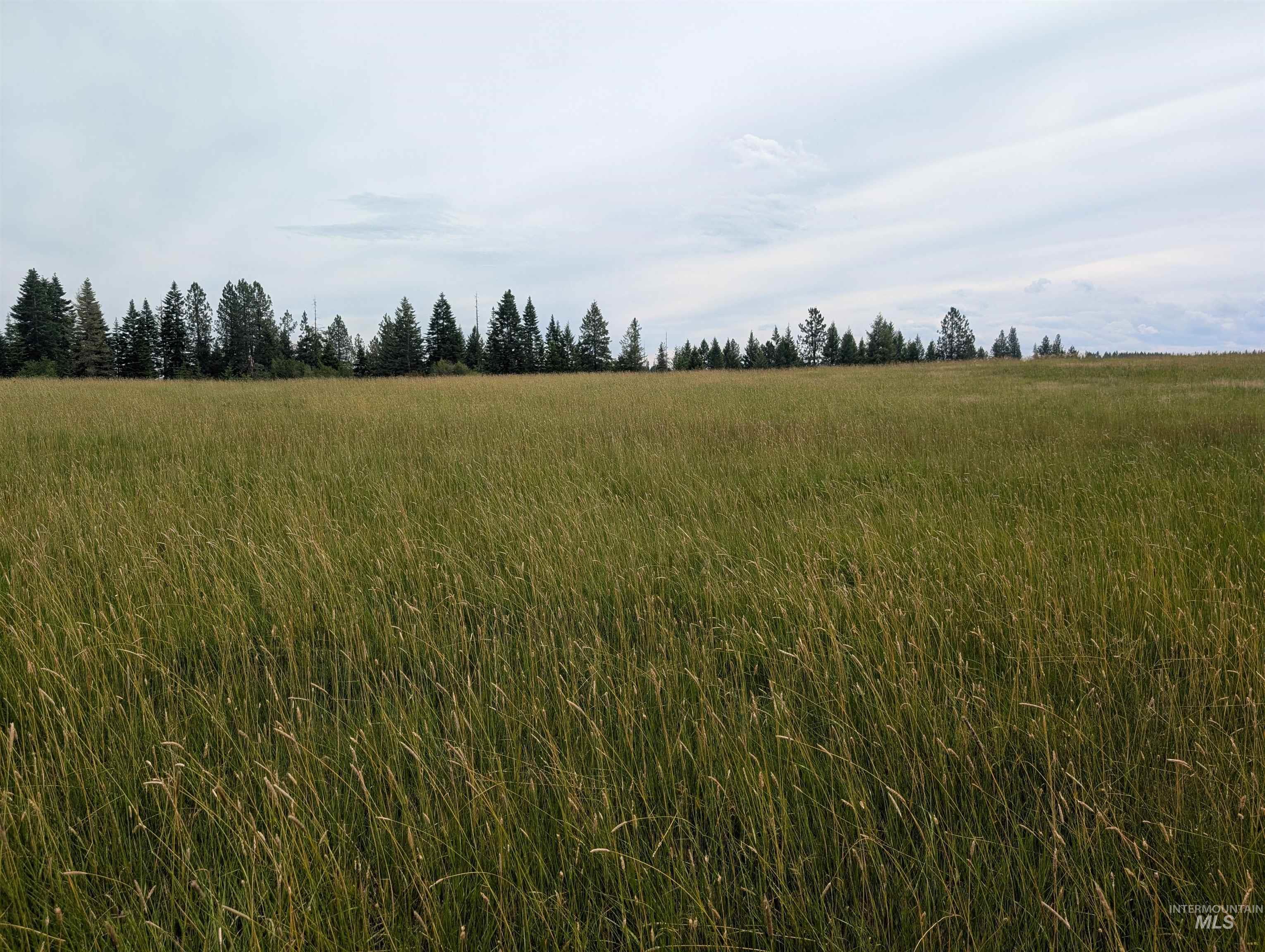 000 Middle Rd, Lenore, Idaho 83541, Land For Sale, Price $600,000,MLS 98992891