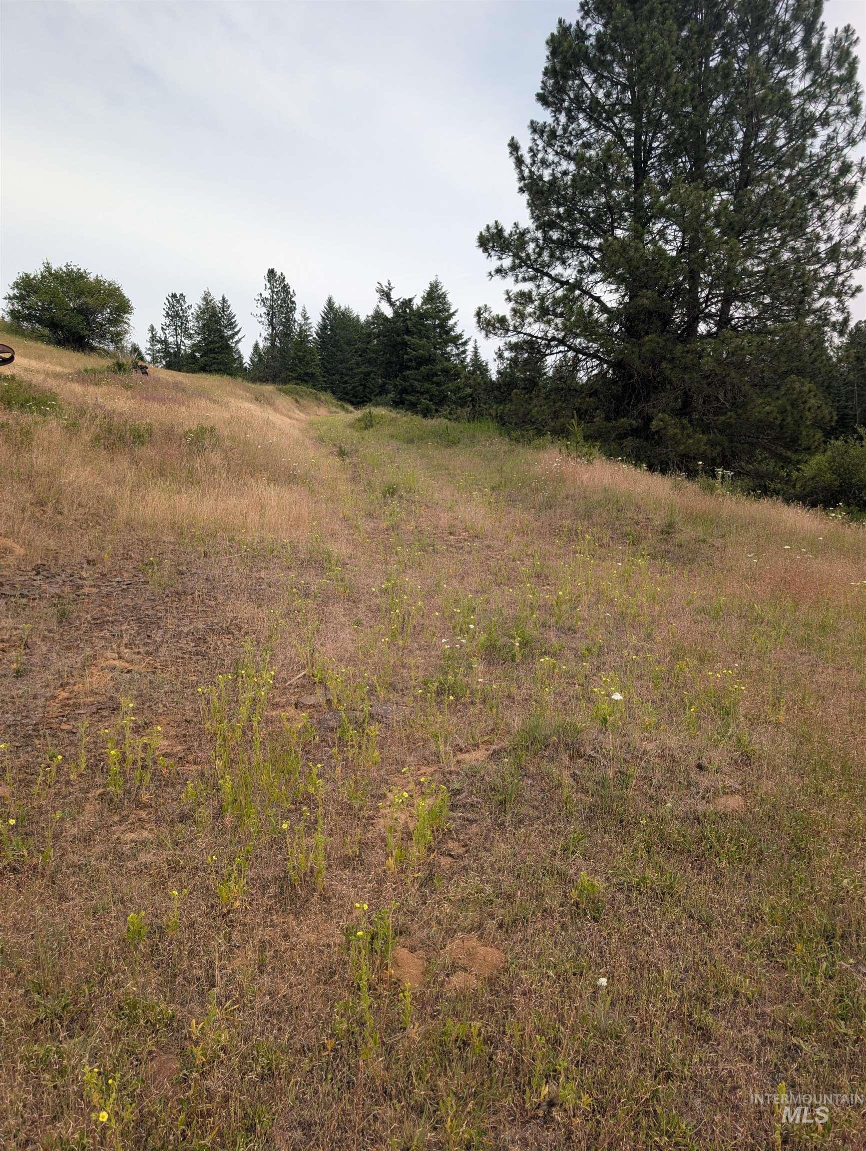 000 Middle Rd, Lenore, Idaho 83541, Land For Sale, Price $600,000,MLS 98992891