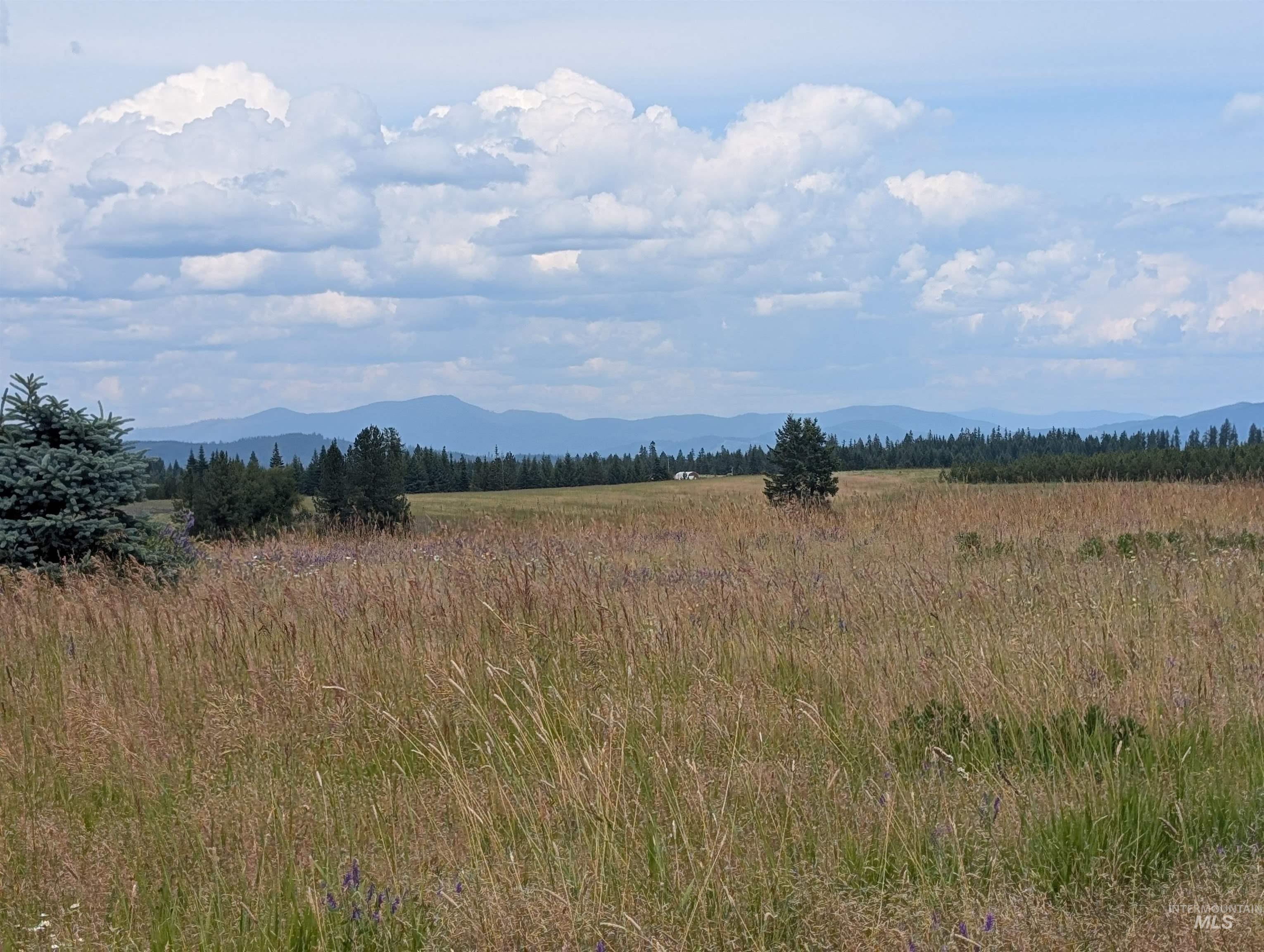 000 Middle Rd, Lenore, Idaho 83541, Land For Sale, Price $600,000,MLS 98992891