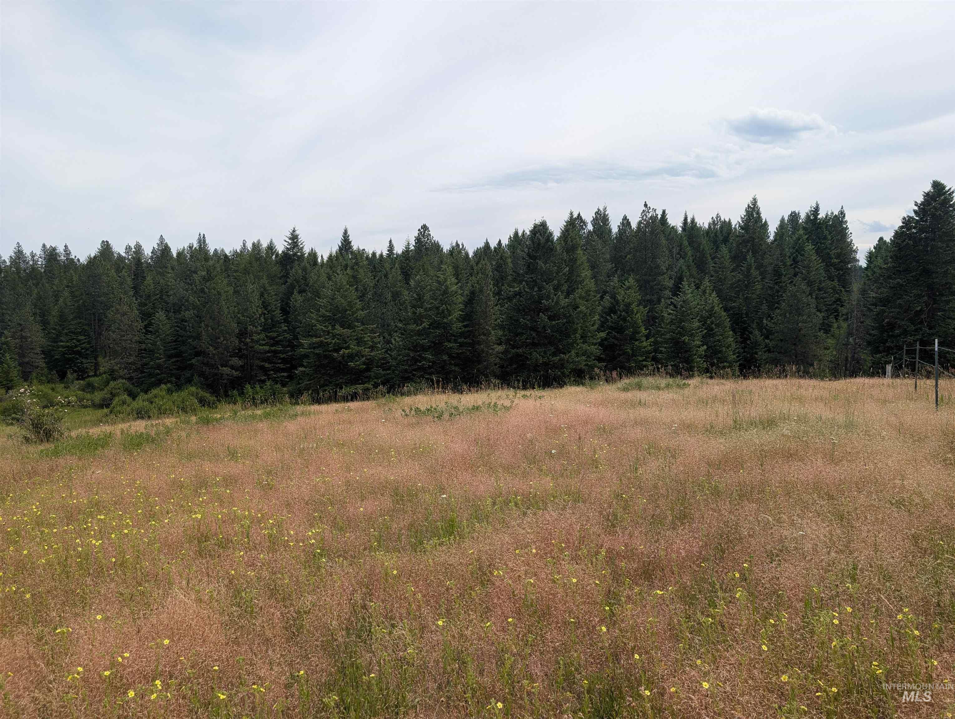 000 Middle Rd, Lenore, Idaho 83541, Land For Sale, Price $600,000,MLS 98992891