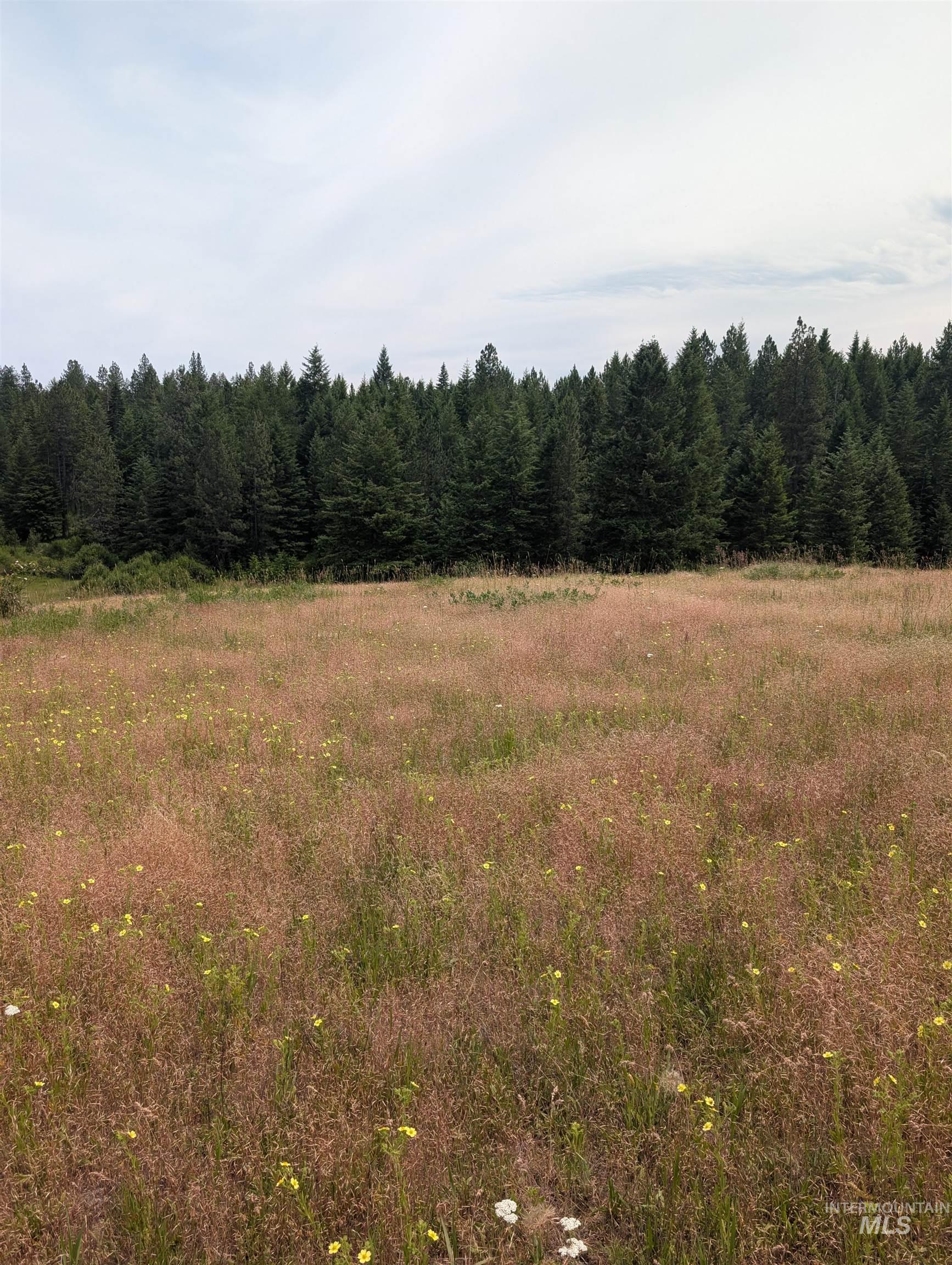 000 Middle Rd, Lenore, Idaho 83541, Land For Sale, Price $600,000,MLS 98992891