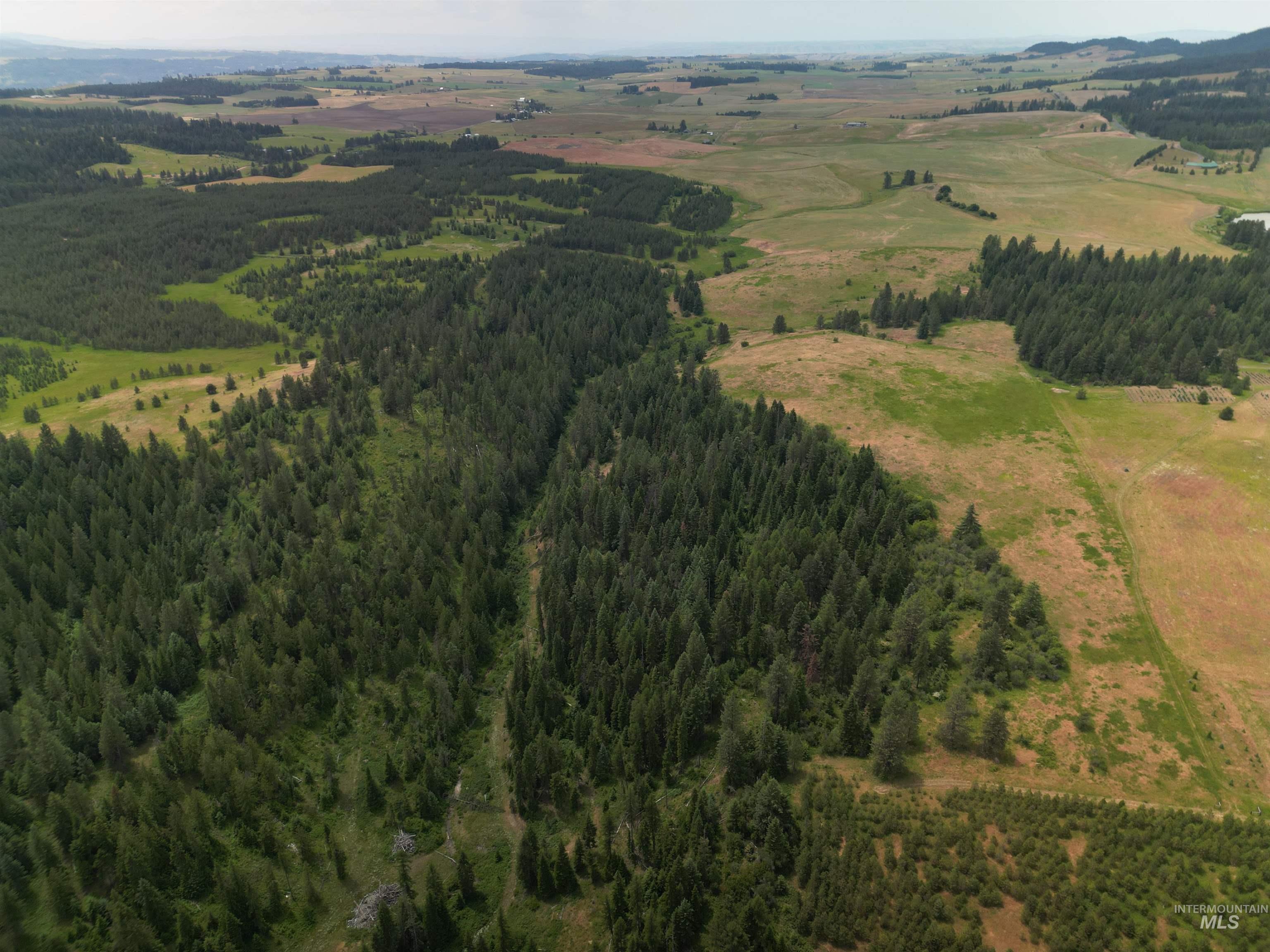 000 Middle Rd, Lenore, Idaho 83541, Land For Sale, Price $600,000,MLS 98992891